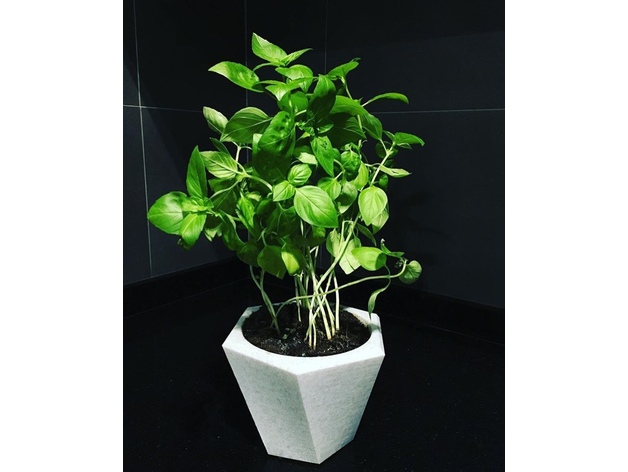 Flower pot