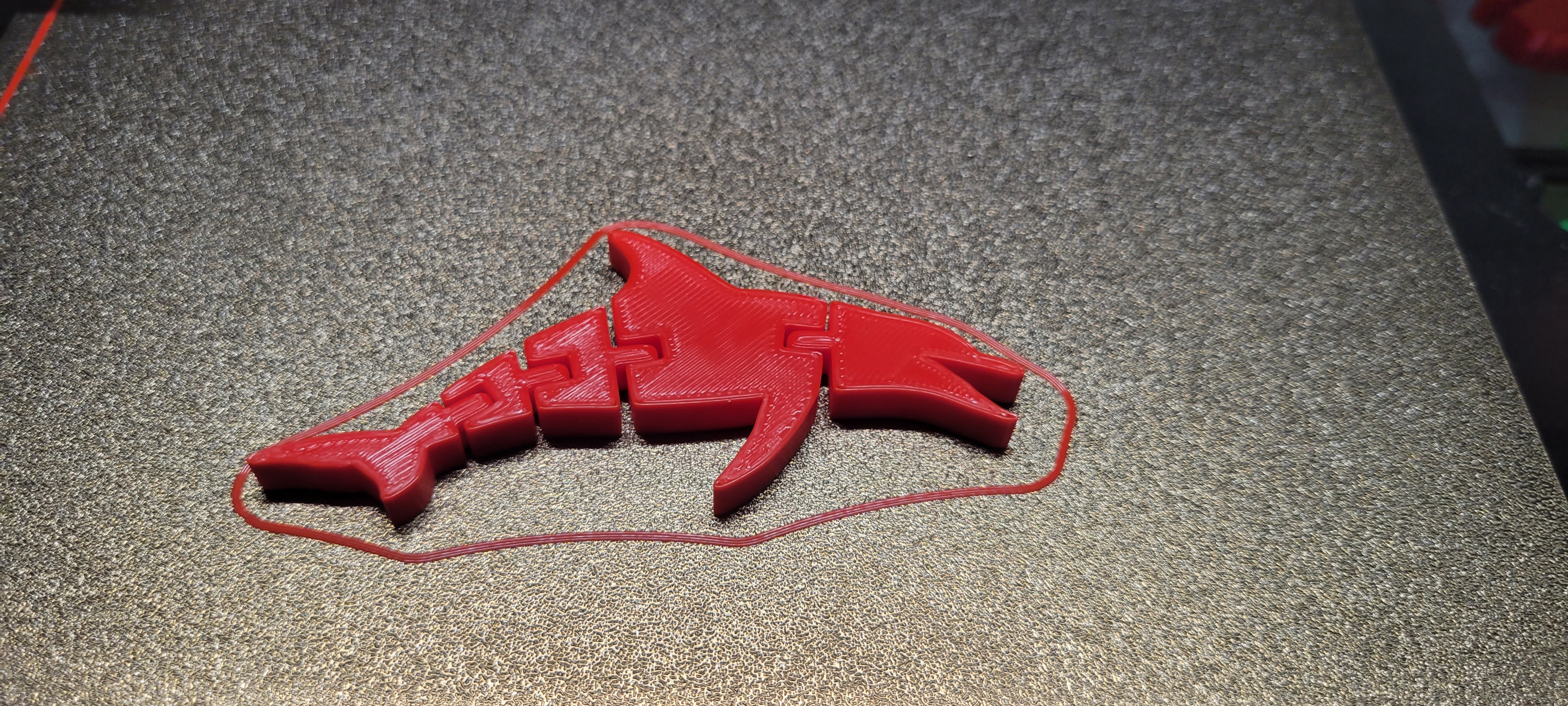 JC Flexi Dolphin