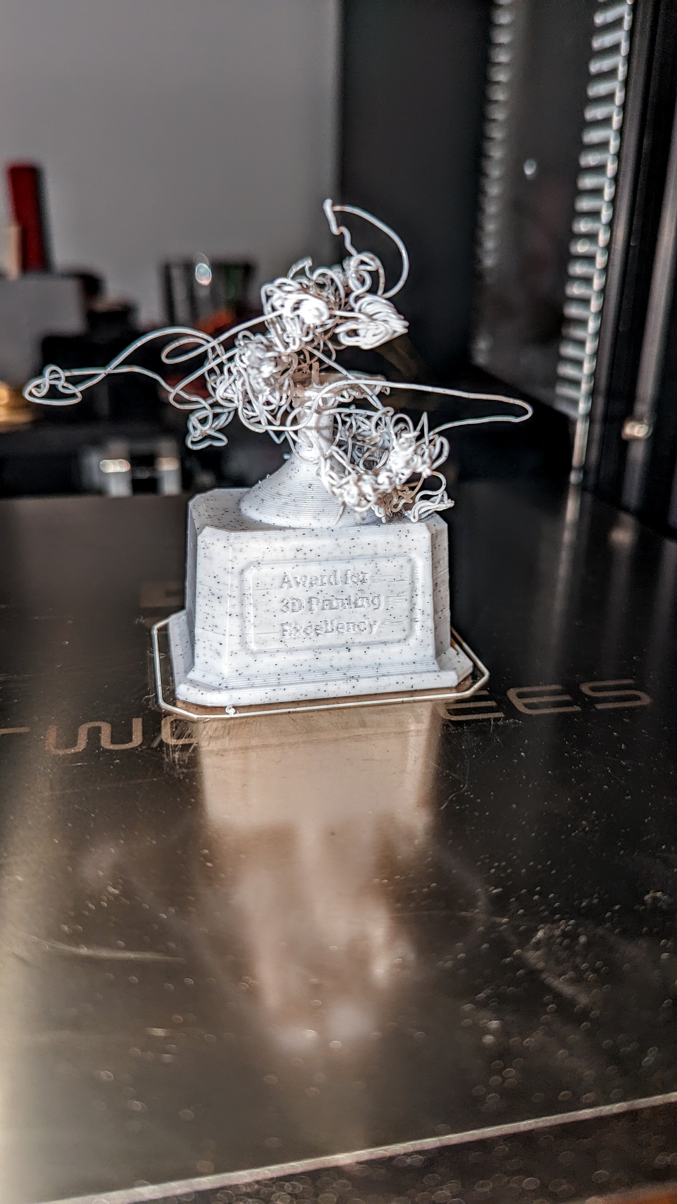 First Layer Excellency Award — miniatura 3