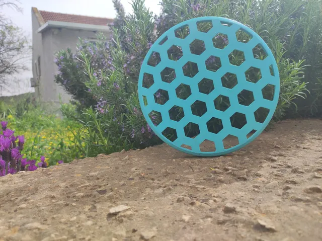 Frisbee with honeycomb pattern