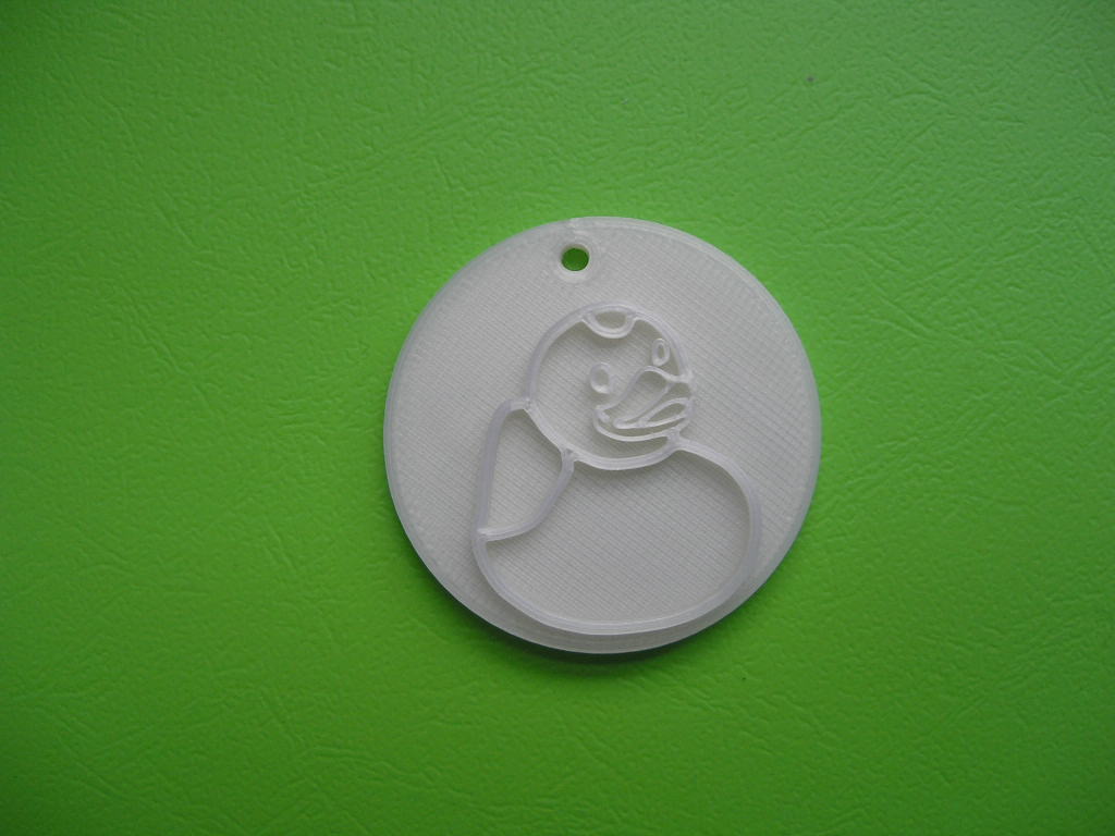 Medailon kachny (Medallion of ducks)