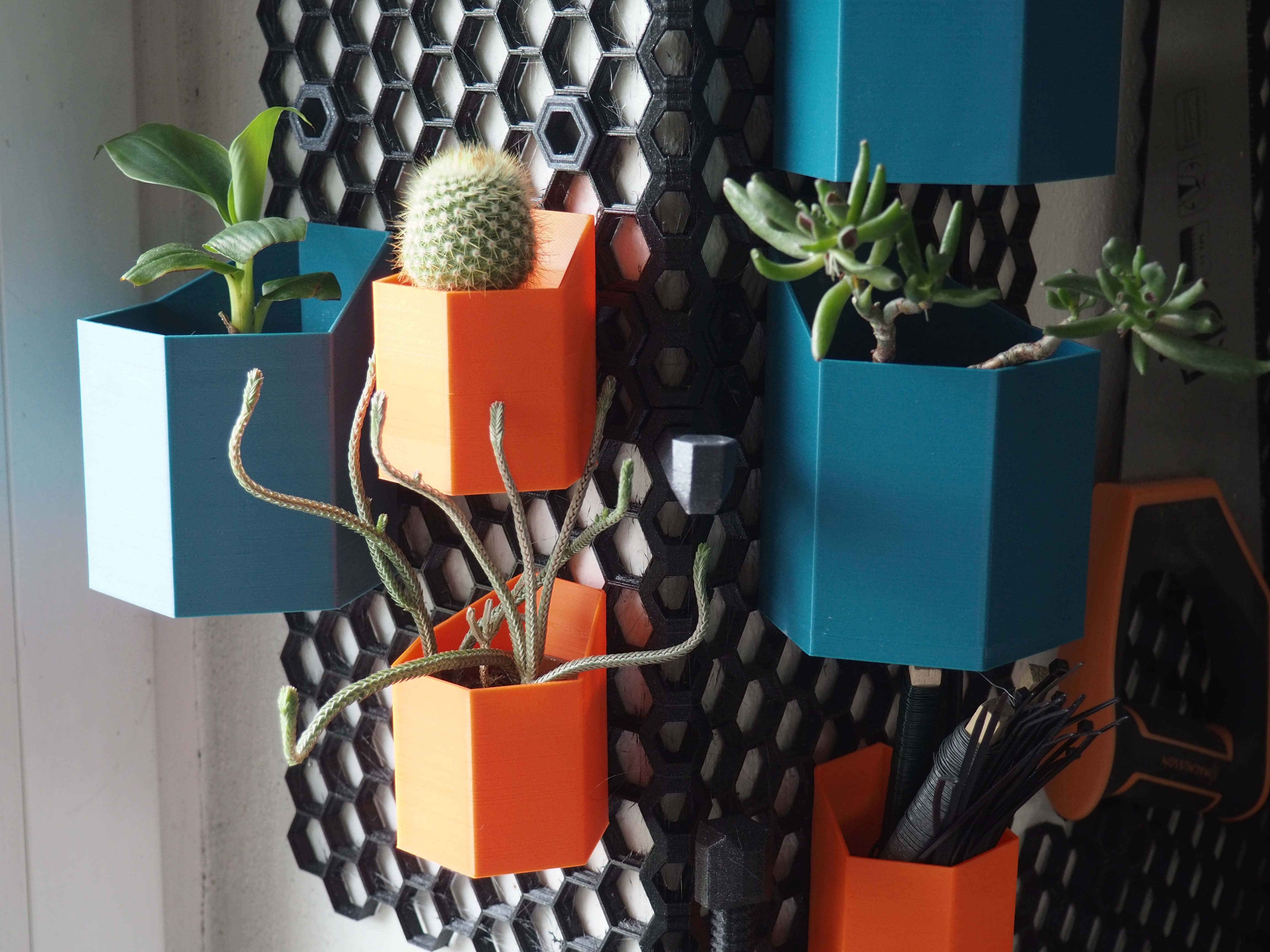 Hexagonal Containers for Honeycomb Storage Wall 3D model thumbnail