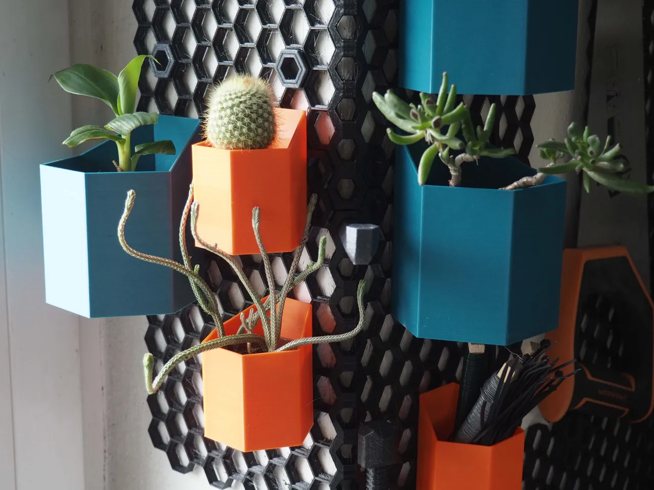 Hexagonal Containers for Honeycomb Storage Wall by Ania Kompa ...
