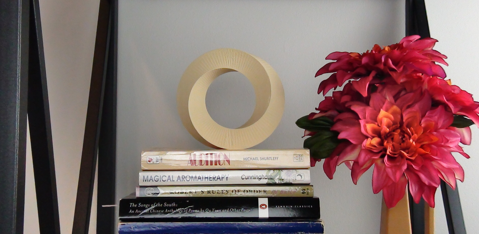 Mobius Decor Ring