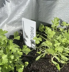 Herb Tags
