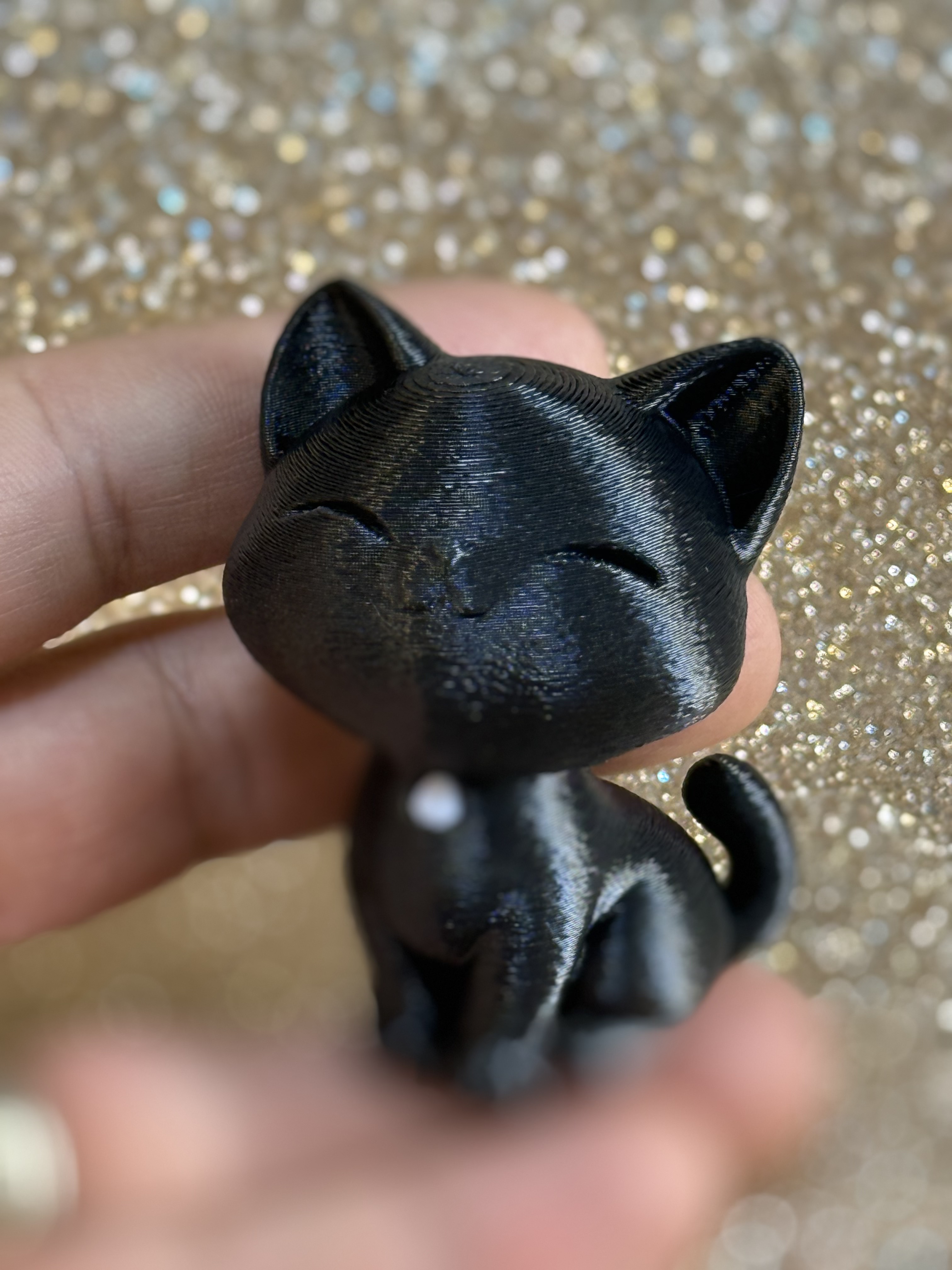 Cute small cat
