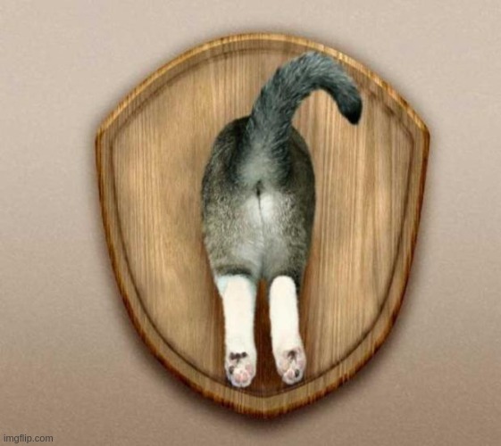 Miniatura 2 do modelo 3D Cat Ass Trophy
