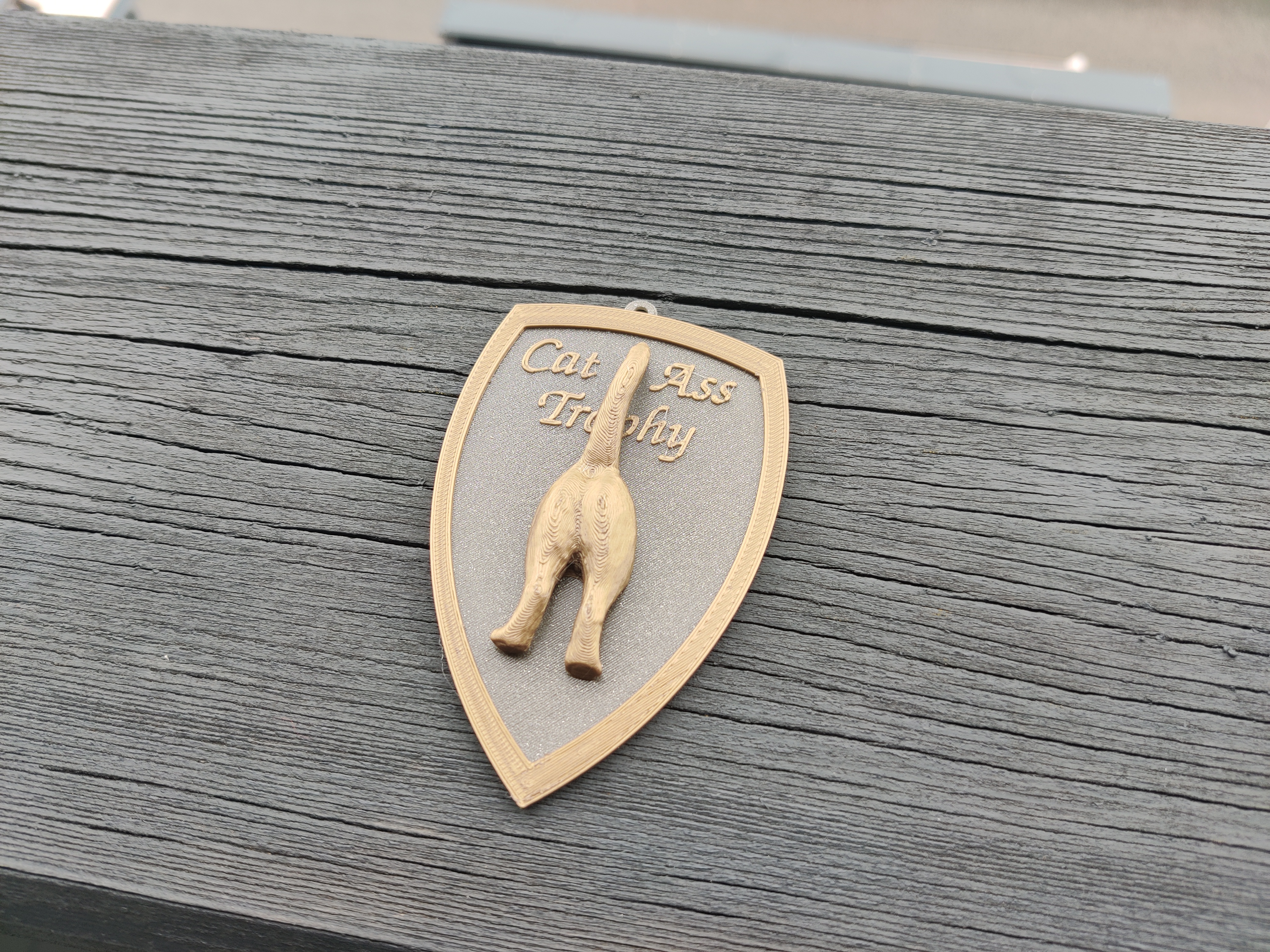 Miniatura 4 do modelo 3D Cat Ass Trophy