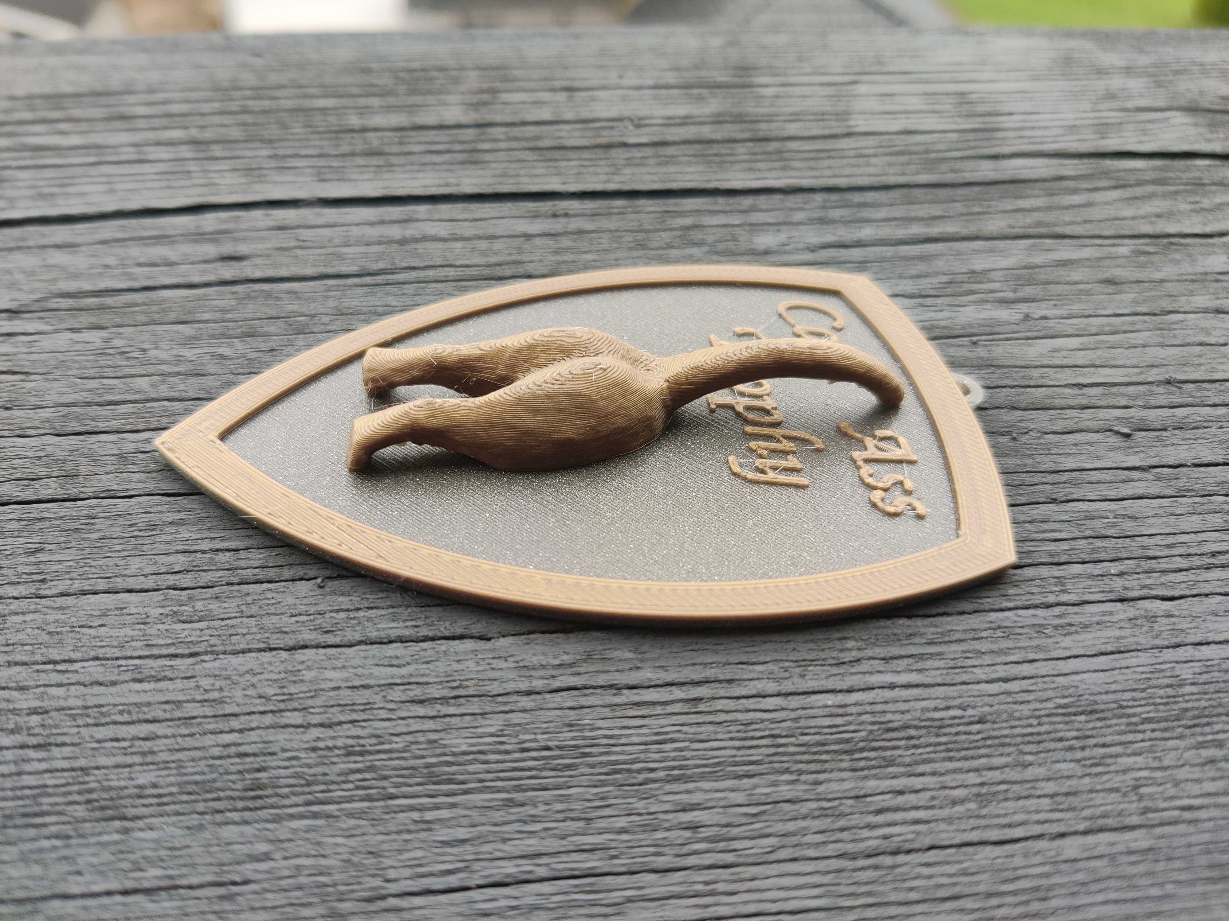 Miniatura 3 do modelo 3D Cat Ass Trophy