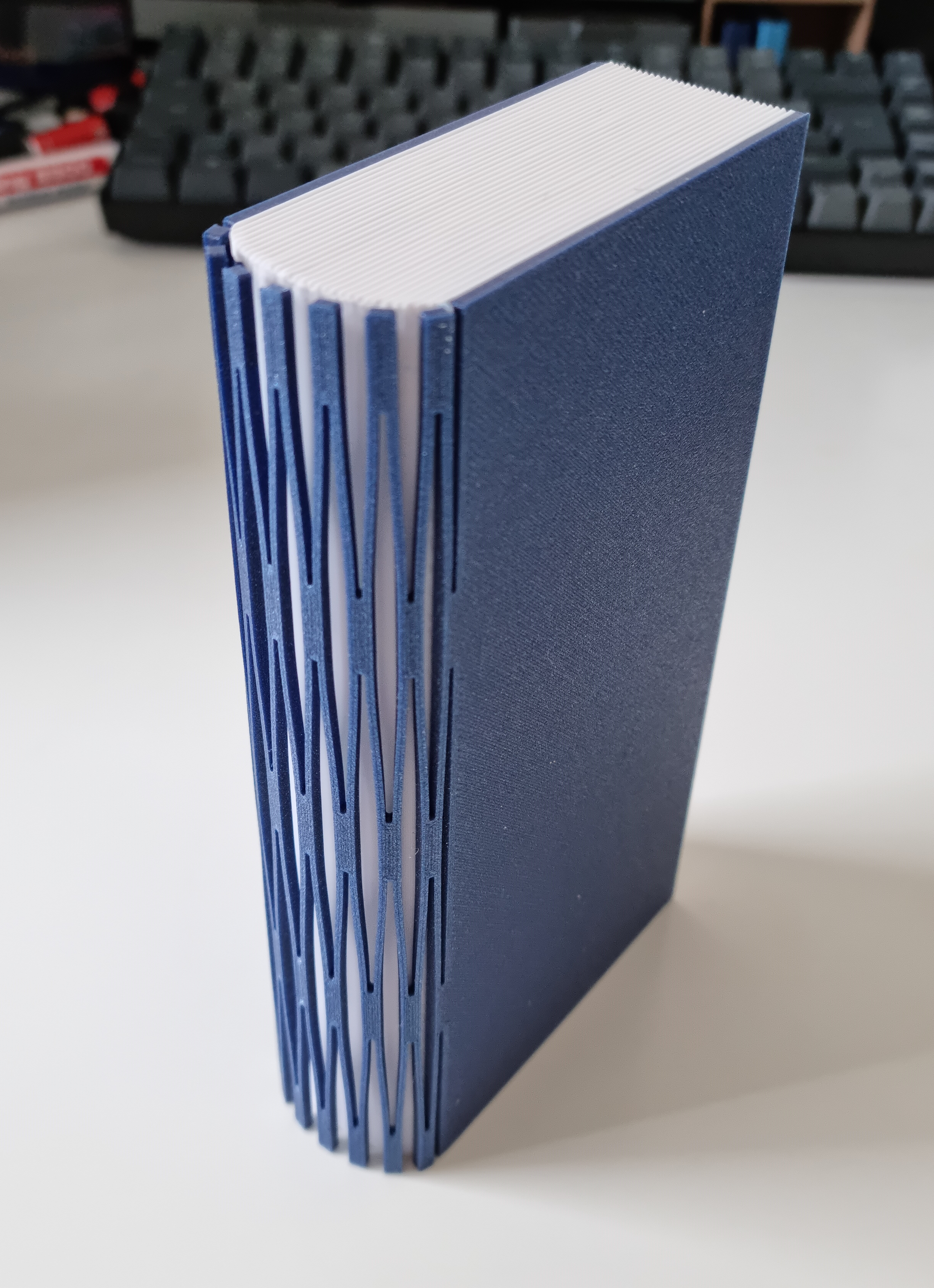 Miniatura 6 do modelo 3D Dice Book