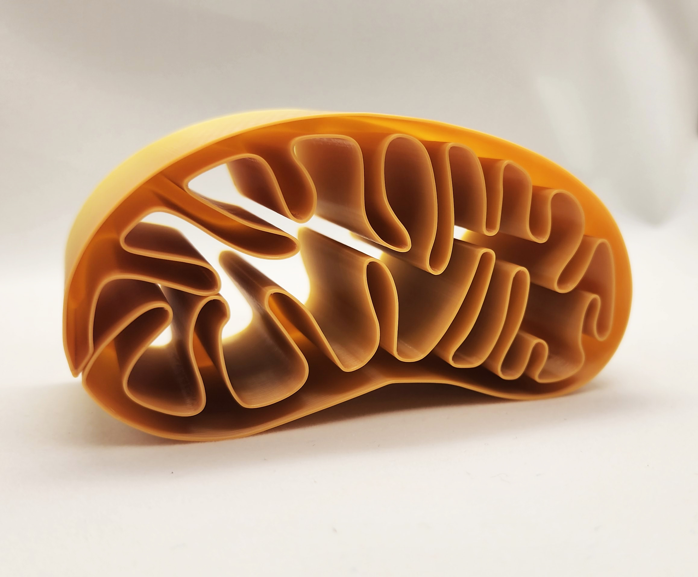 Mitochondria Spiral Vase by Triple G Workshop | Download free STL model ...