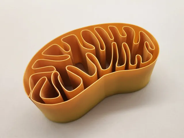 Mitochondria Spiral Vase
