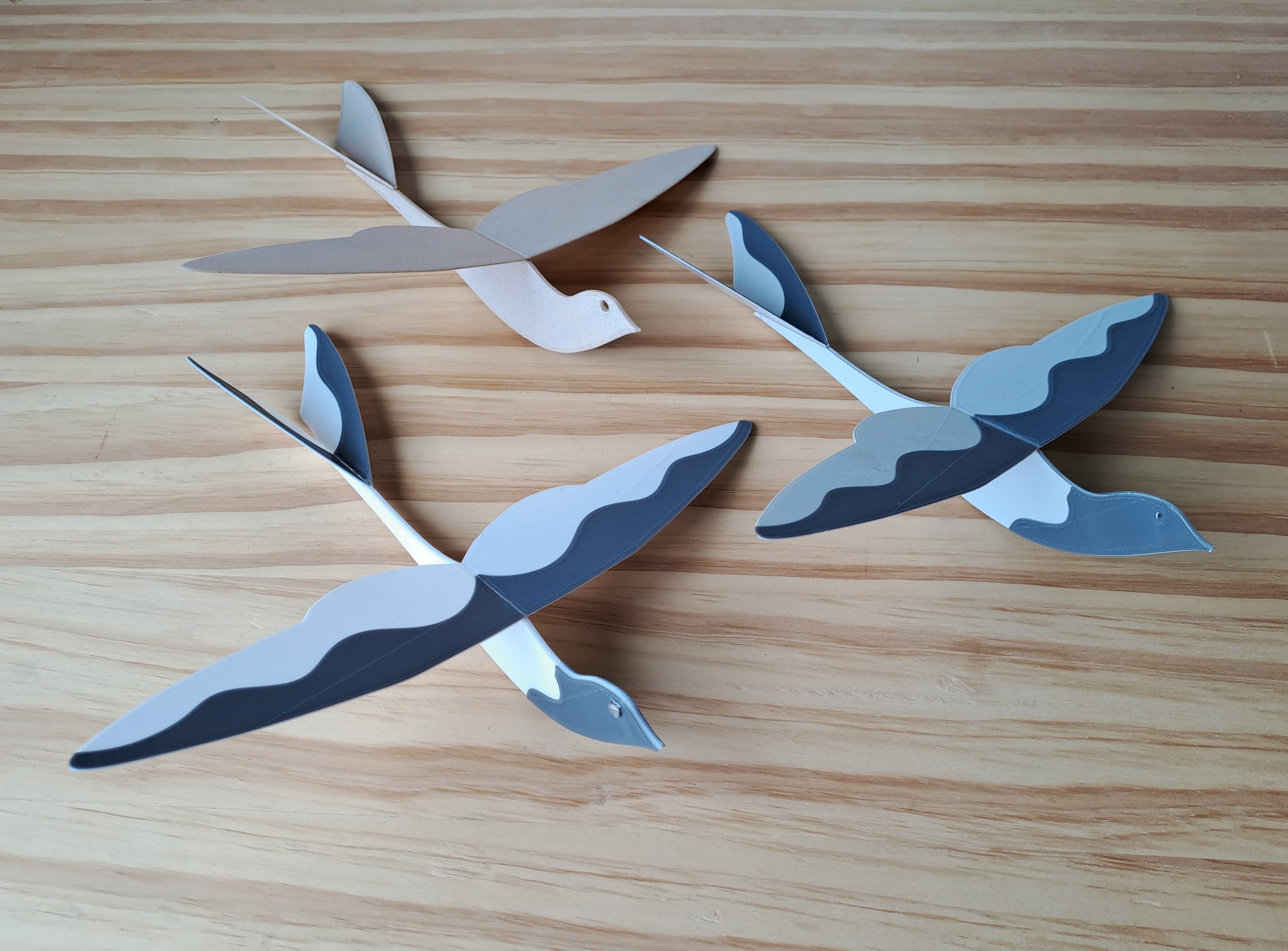 Pigeon Glider