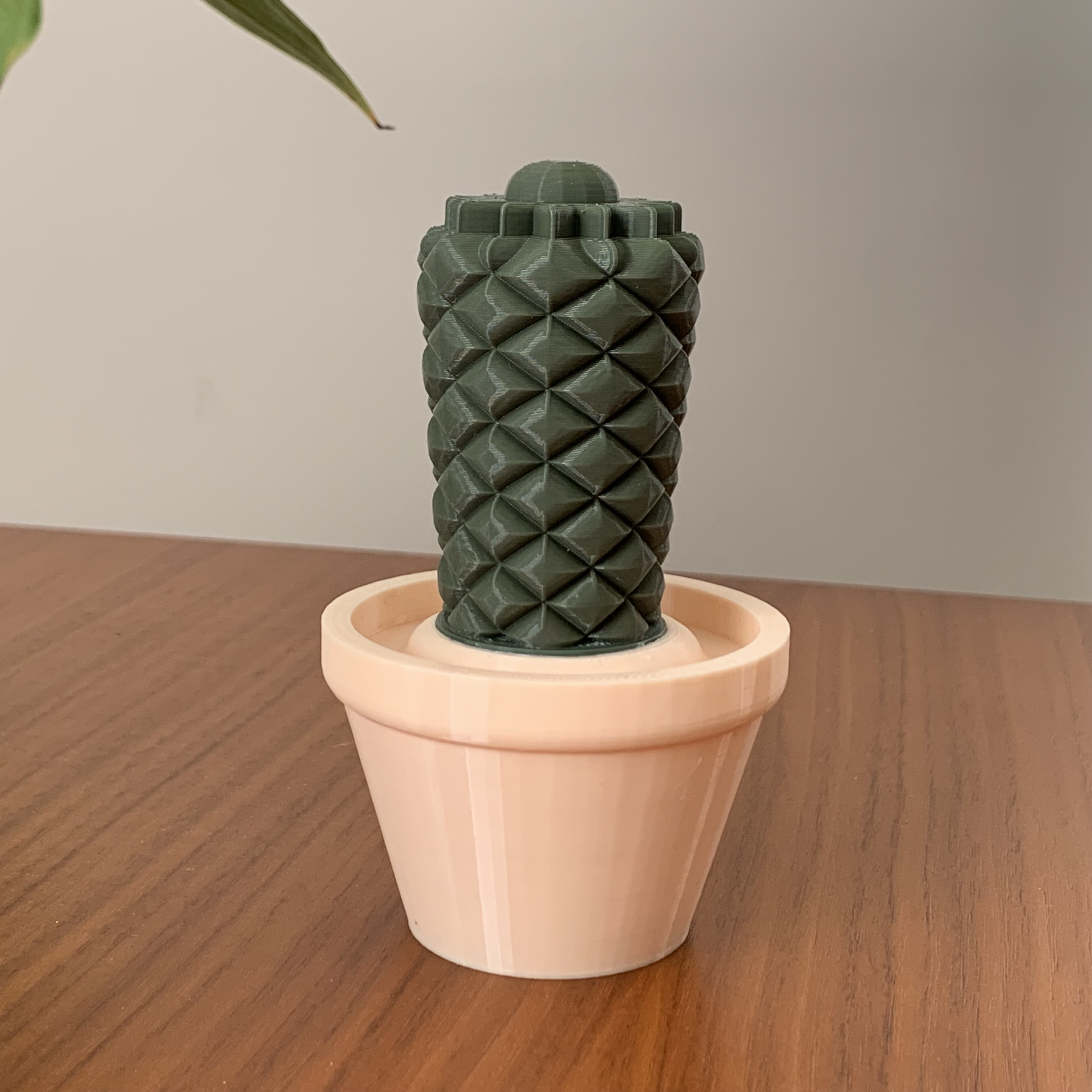 Home Decor Cactus Pot