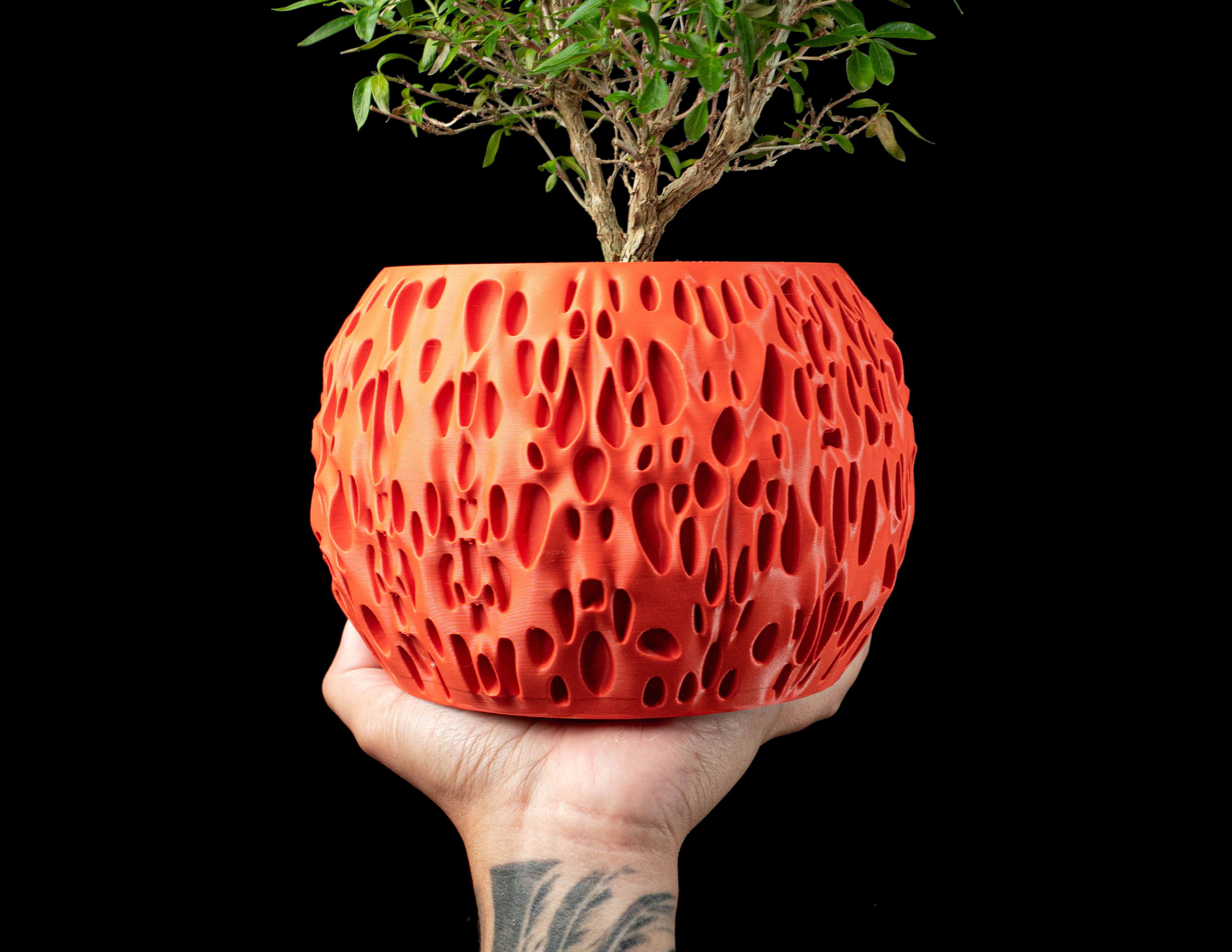 Spotted Planter Pot by MODERN MACHINE