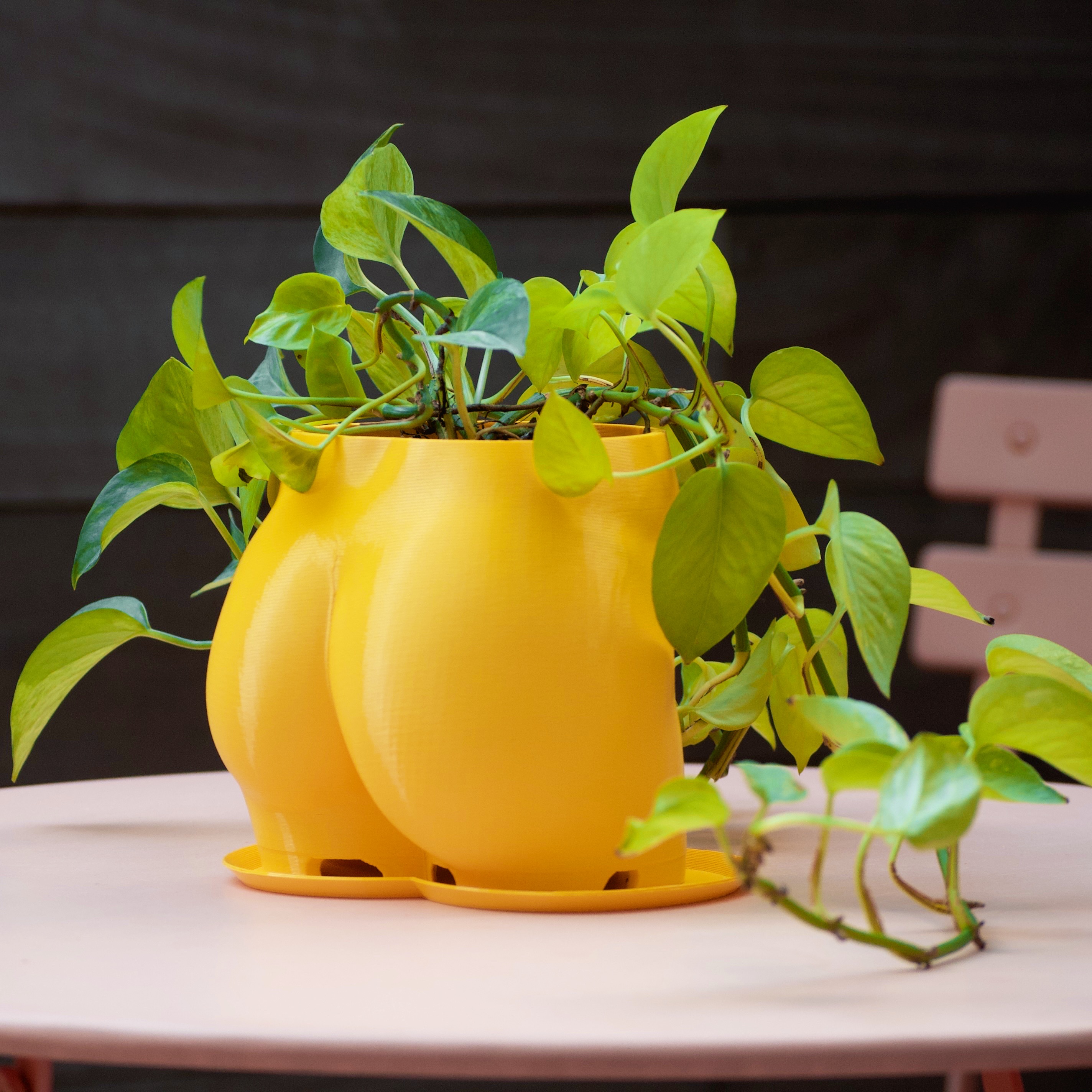 2023 Butt Planter