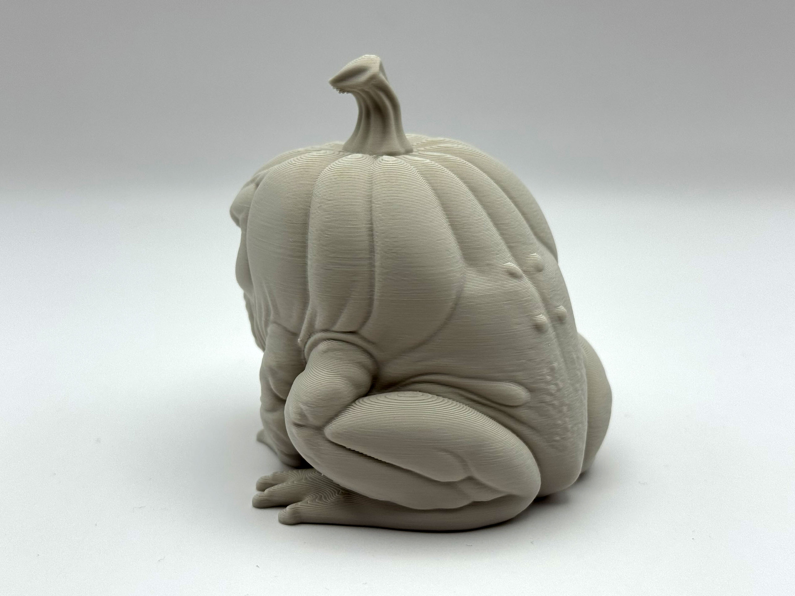 Miniatura 6 do modelo 3D Grumpy Frogkin