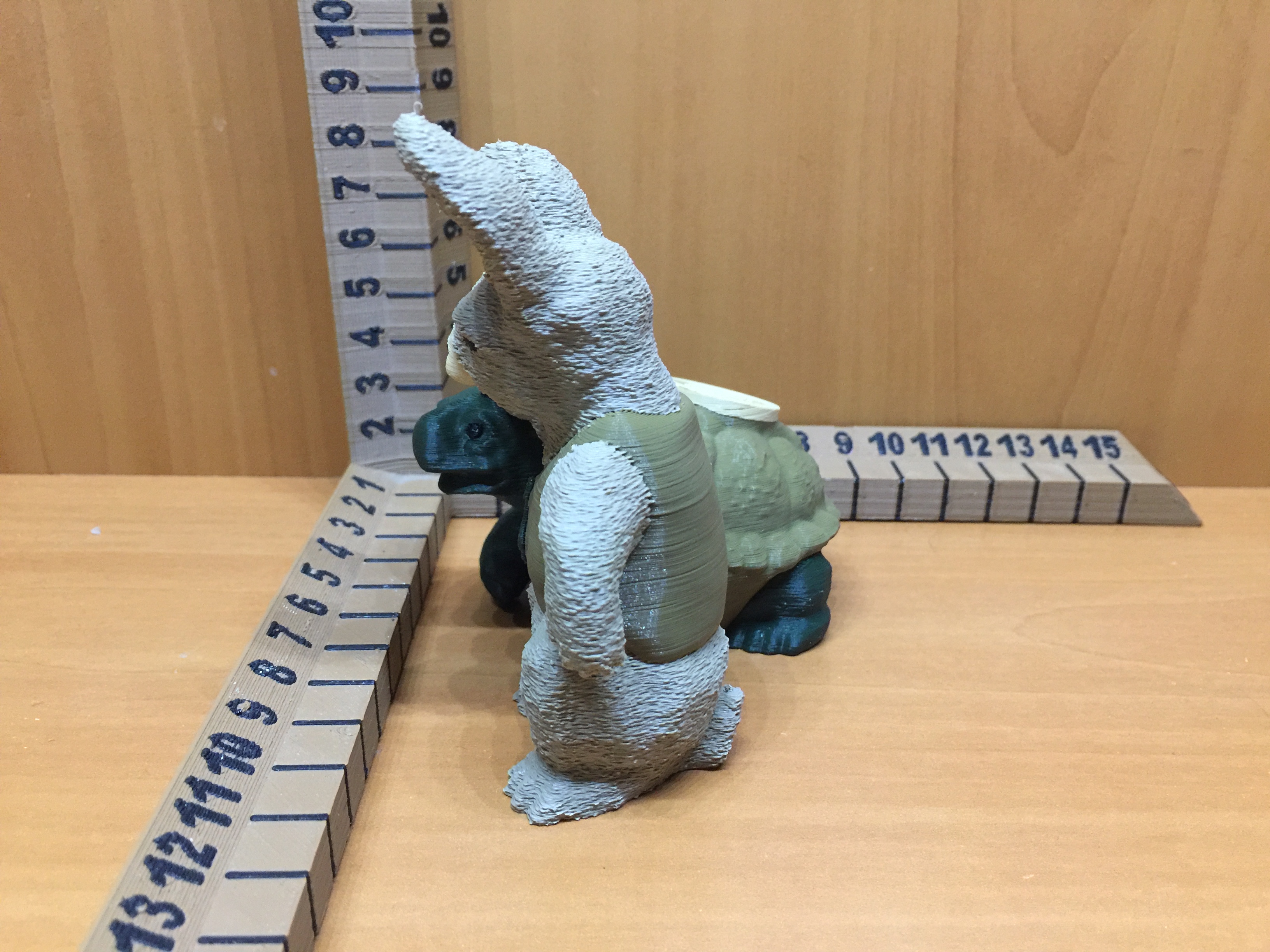 Miniatura 3 do modelo 3D Tortoise Bitcoin vs Hare Dollar