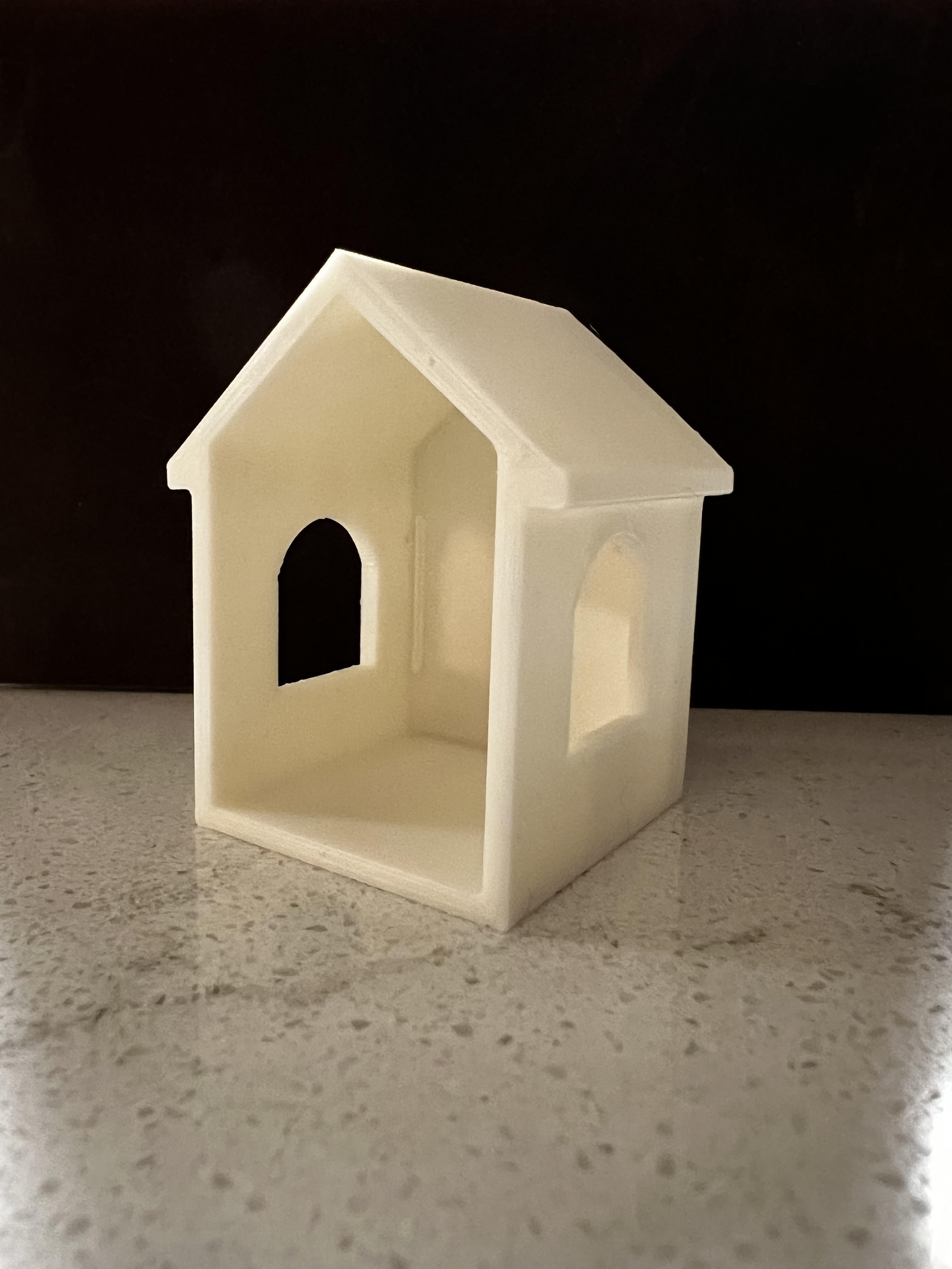 Fish or frog house !