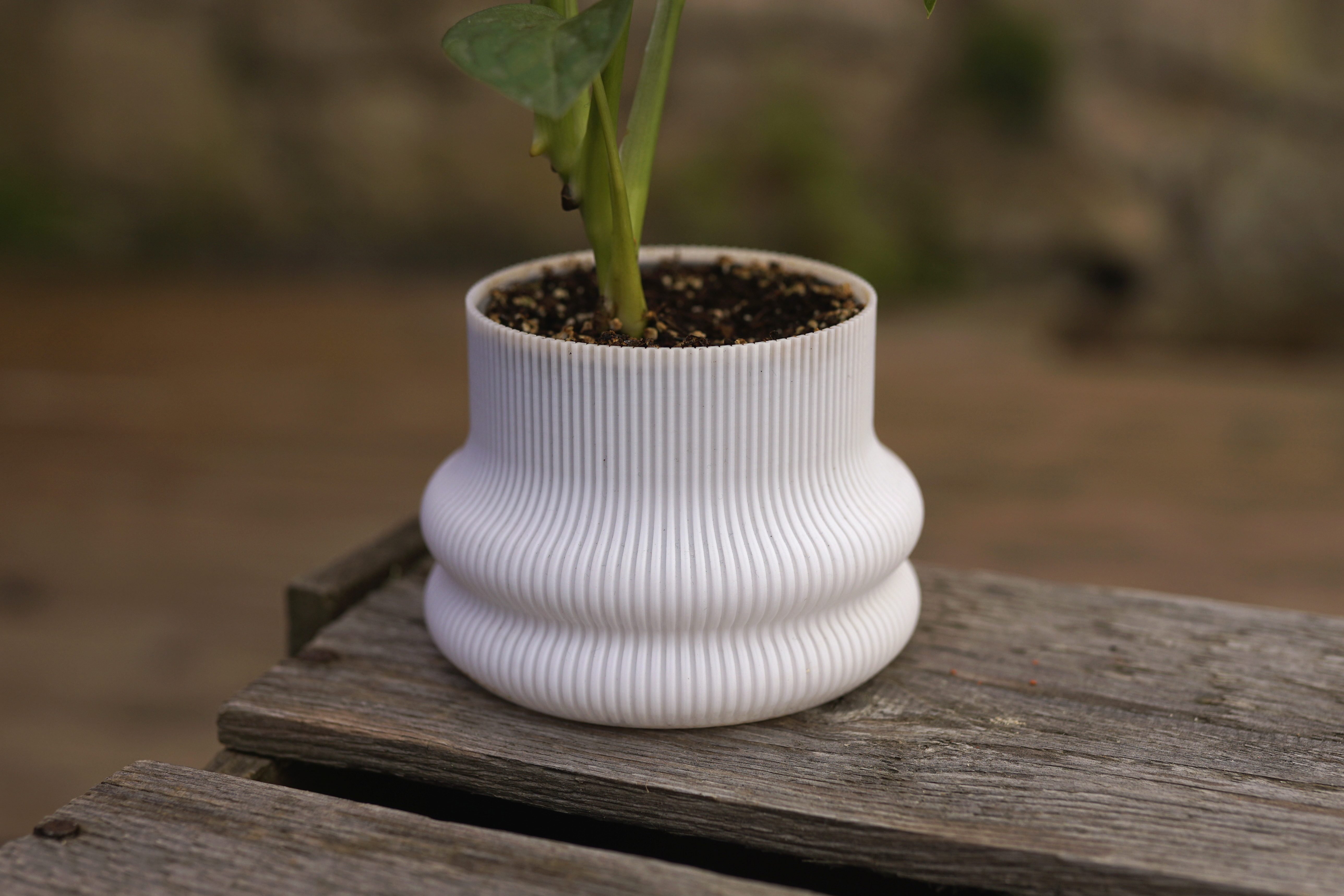 modern elegant line planter or vase