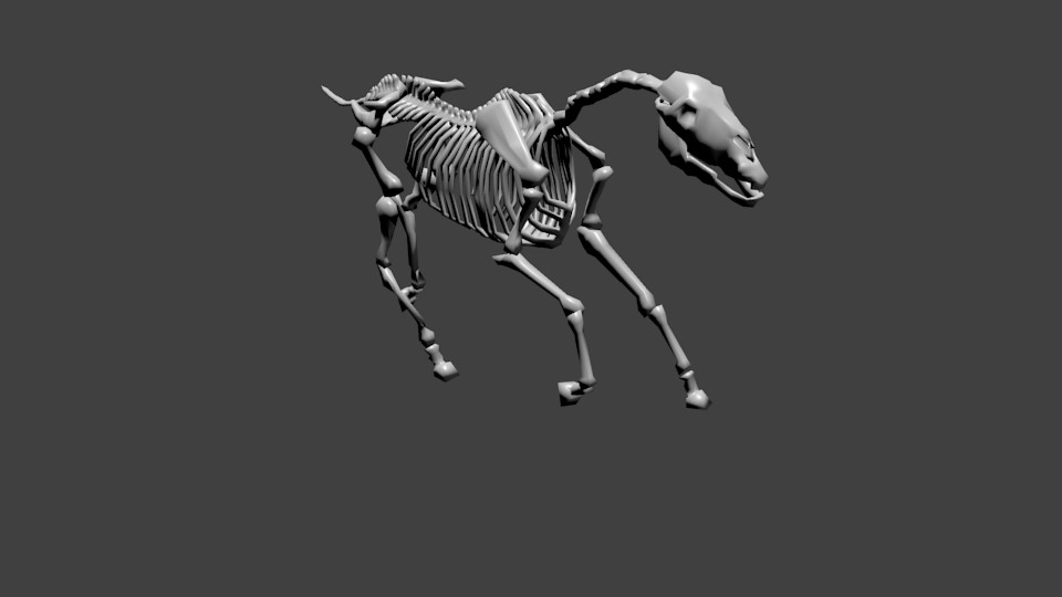 Horse Skeleton, Rigged, UnTextured