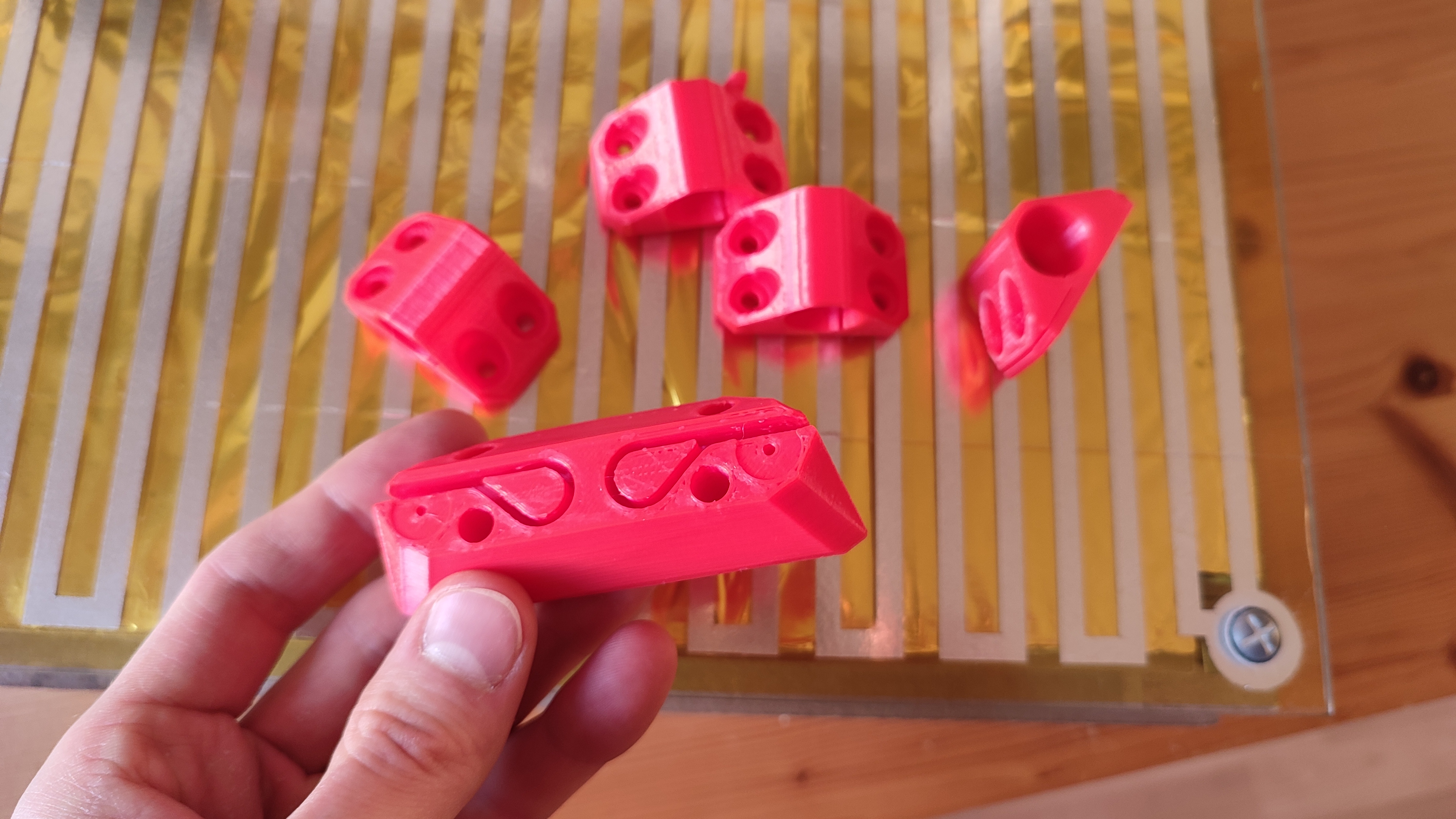 PrintoSapiens — miniatura 12