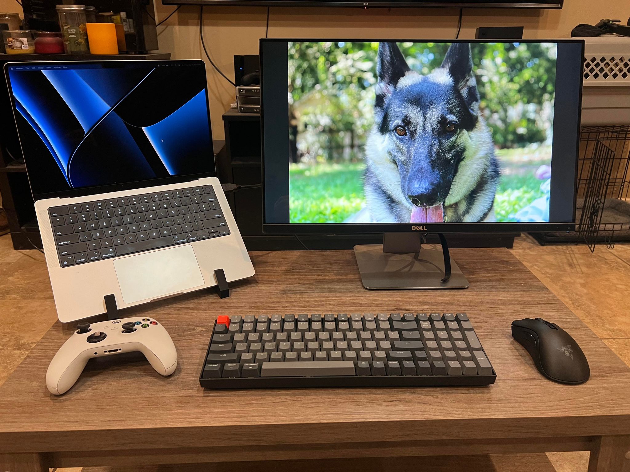 Laptop Stand