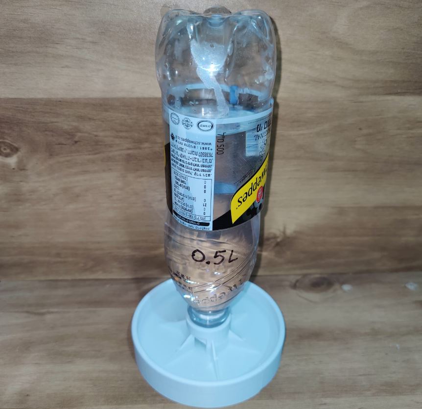water dispenser for animals