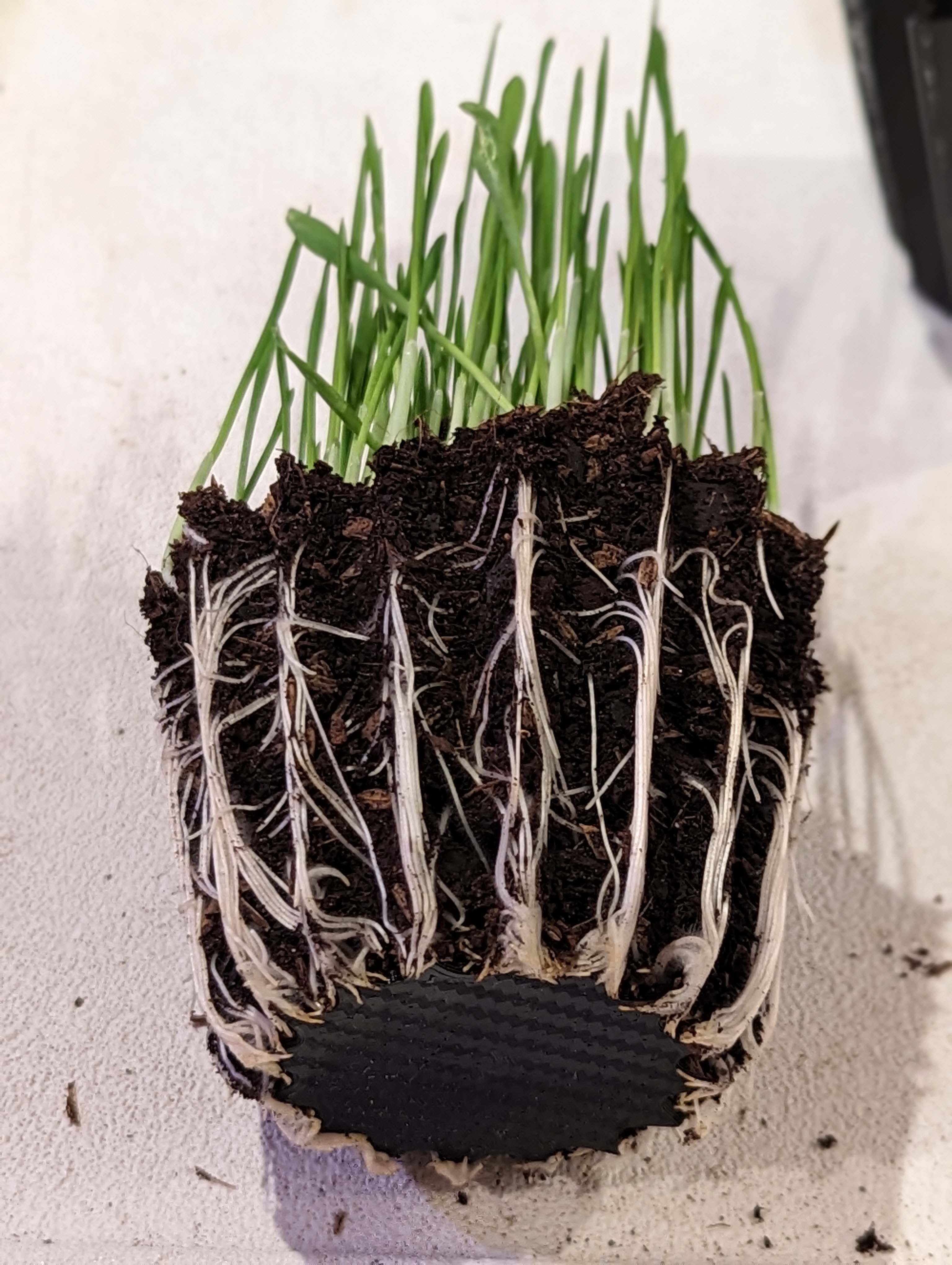 Miniatura 4 do modelo 3D Seed Starter Pot