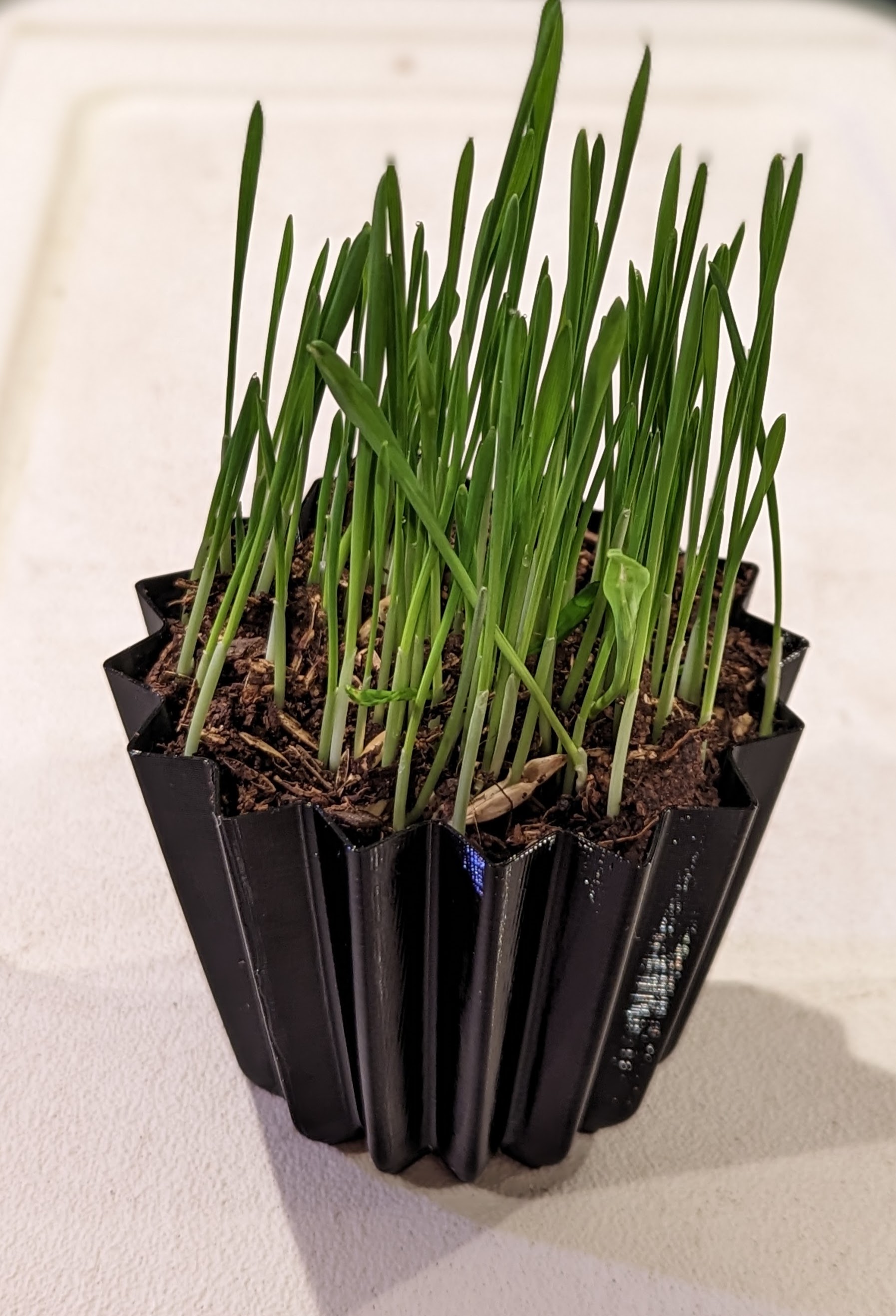 Miniatura 2 do modelo 3D Seed Starter Pot