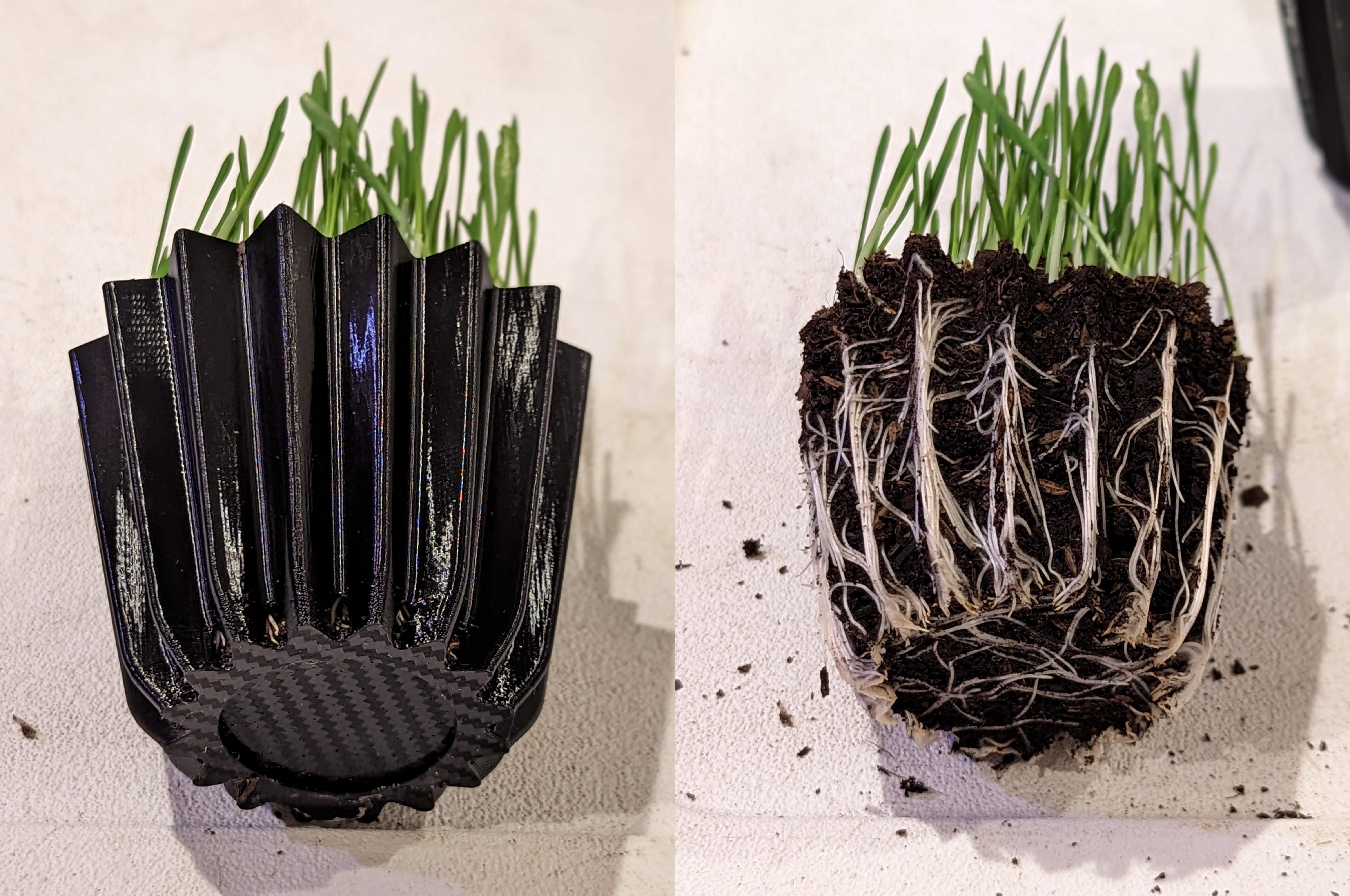 Seed Starter Pot