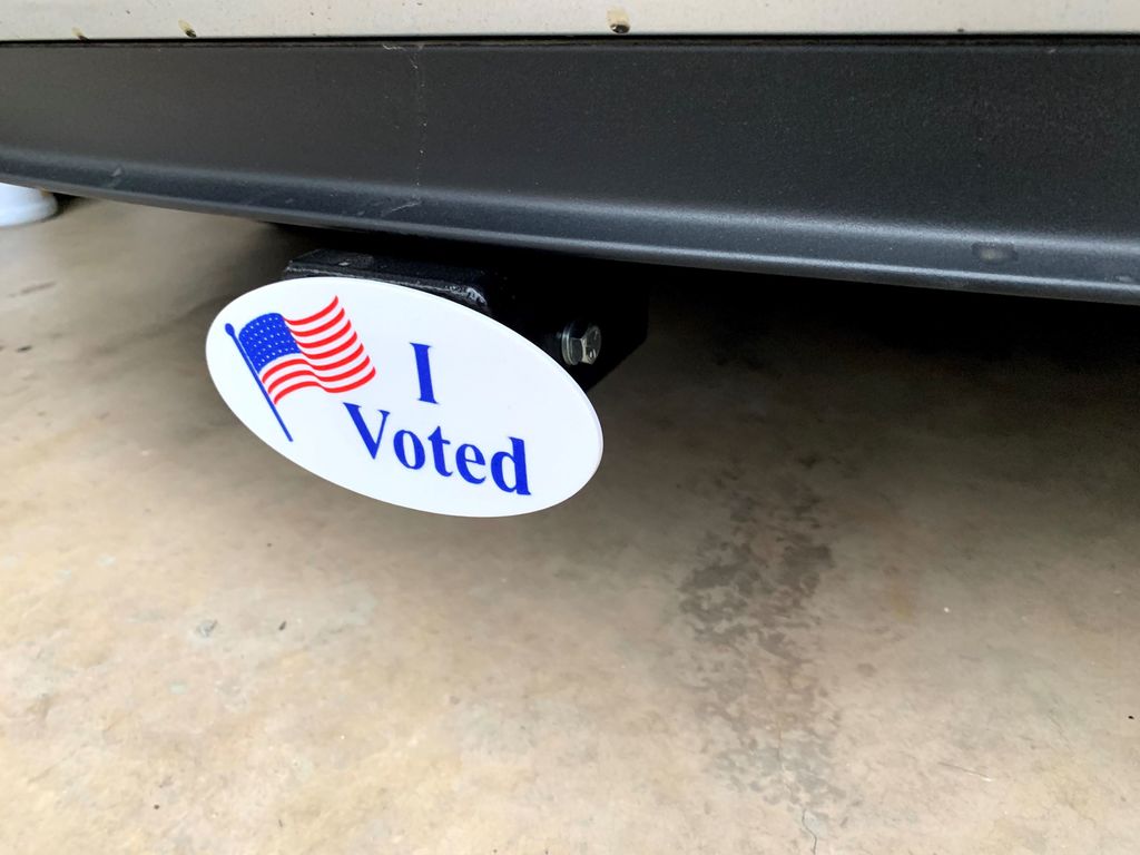I Voted — miniatura 3