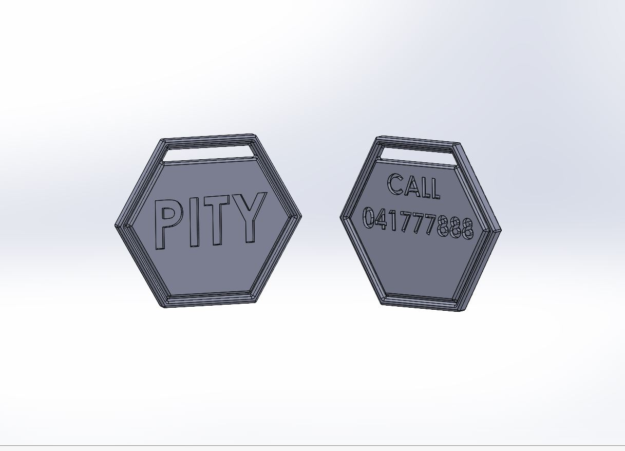 Hexagonal Pet Tag (Editable text)