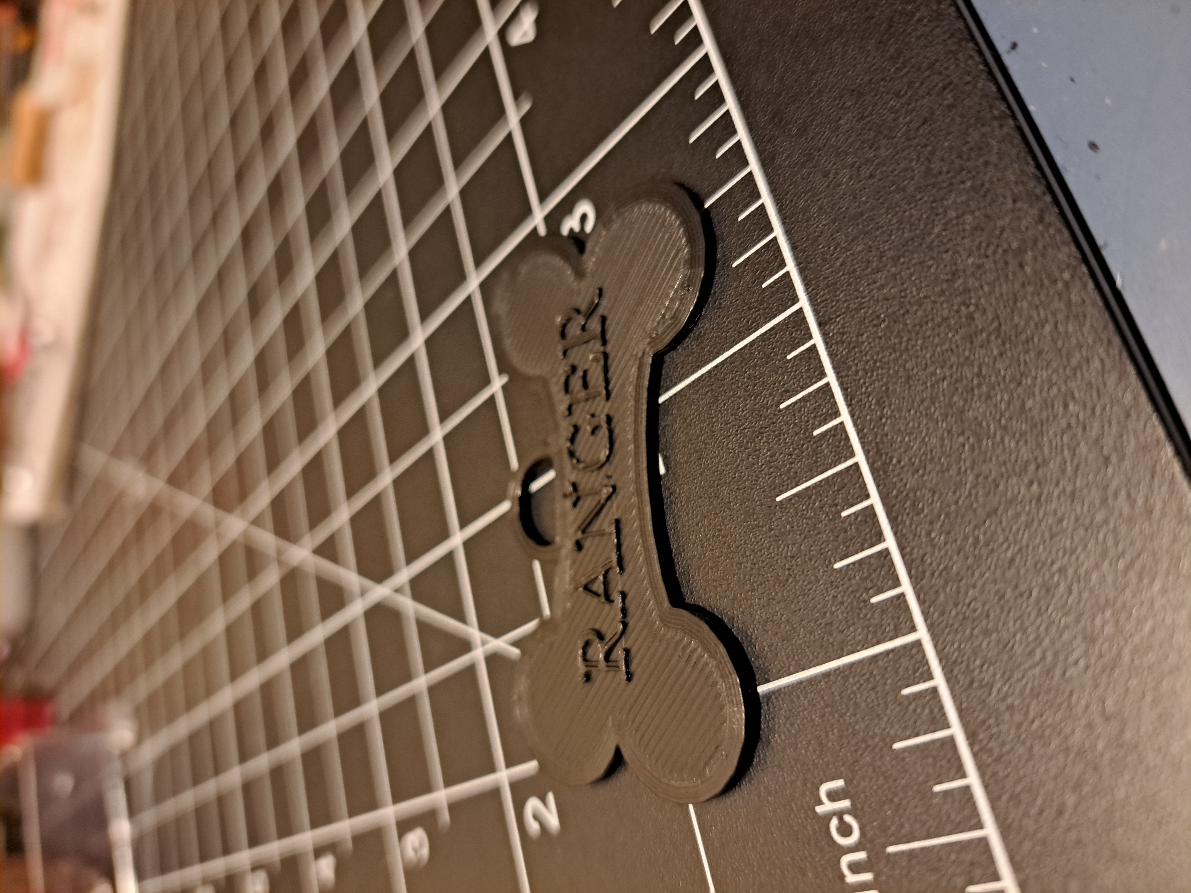 Pet tag