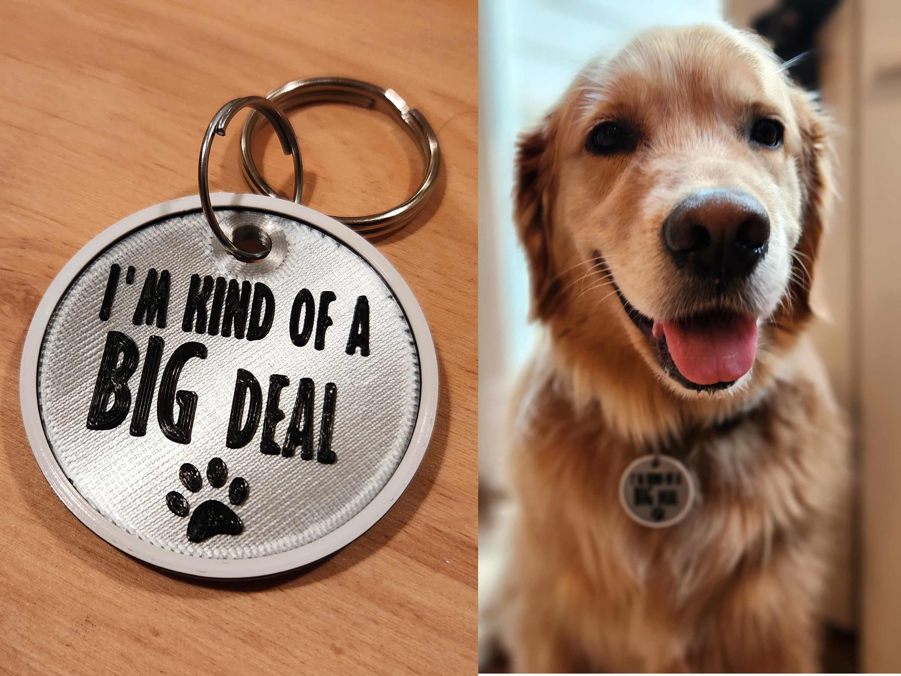"I'm Kind Of A Big Deal" Dog Tag (w/ Optional Id)