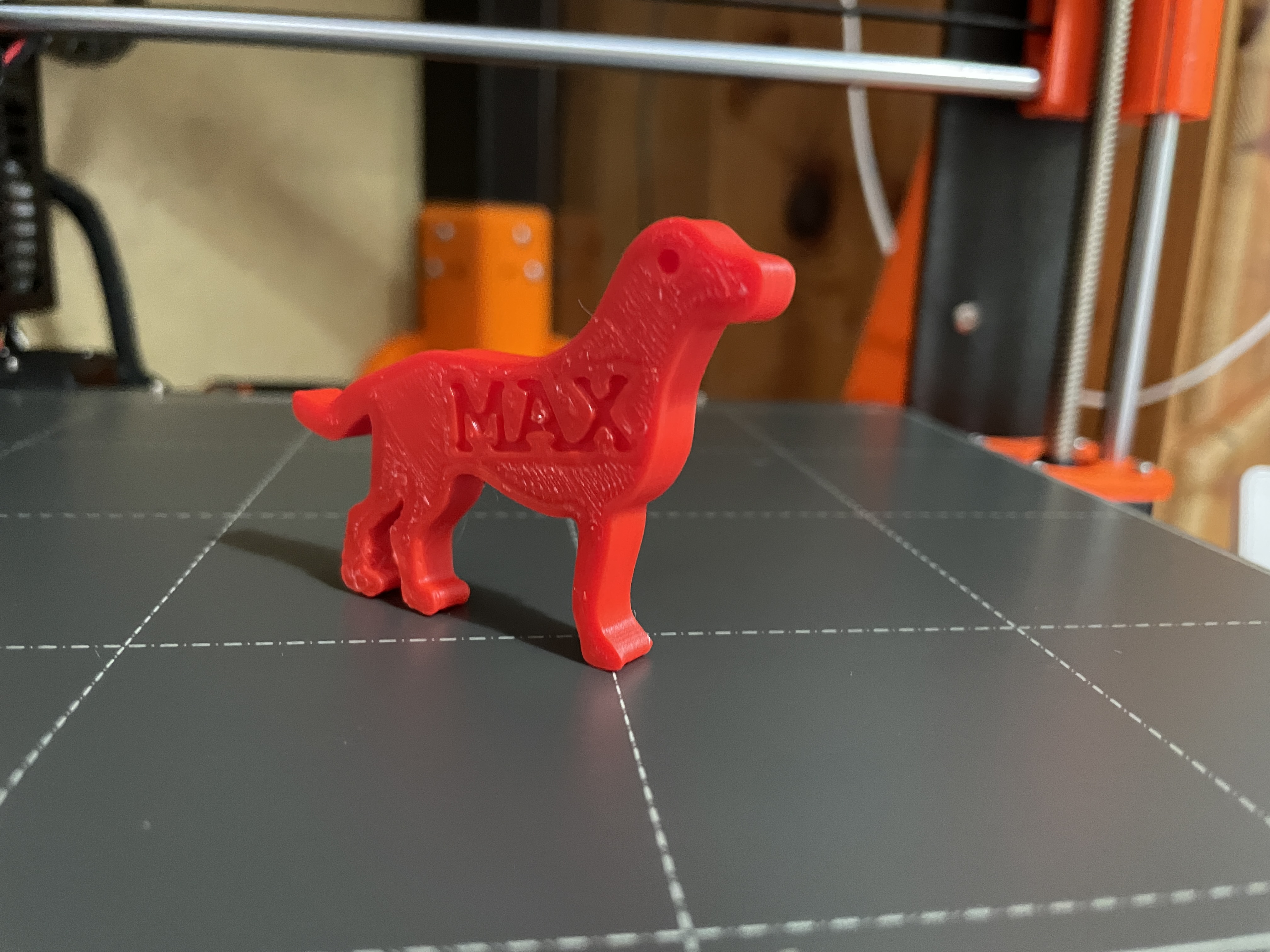 Fully customizable dog ID tag using prusaslicer 2.6 (Easy print)