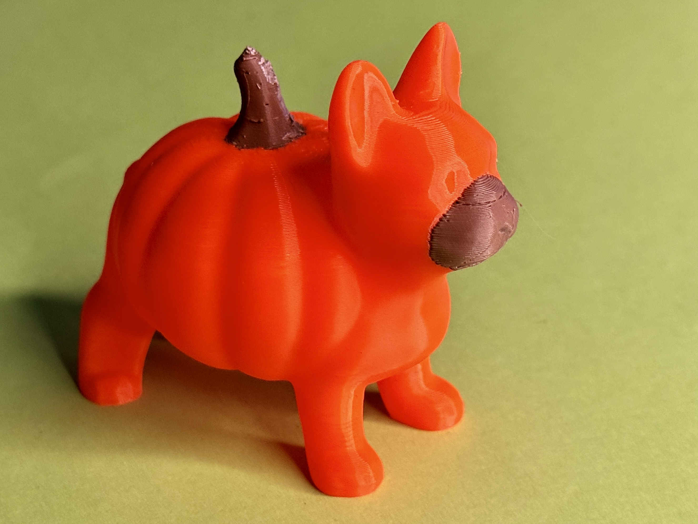 Little ugly halloween pumpkin dog