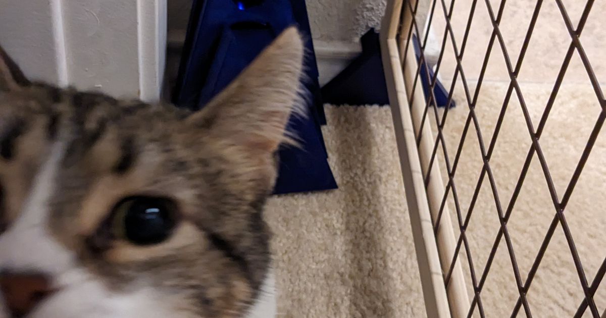 Household gate risers by kf5mfl Download free STL model