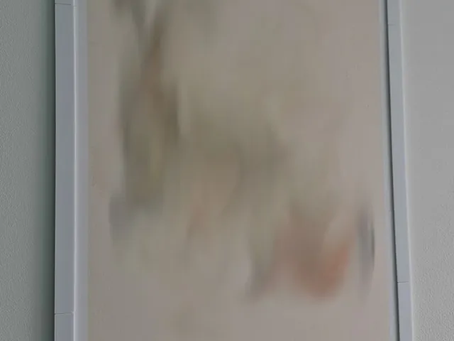 Large picture frame printed in sections (Various sizes, A3)