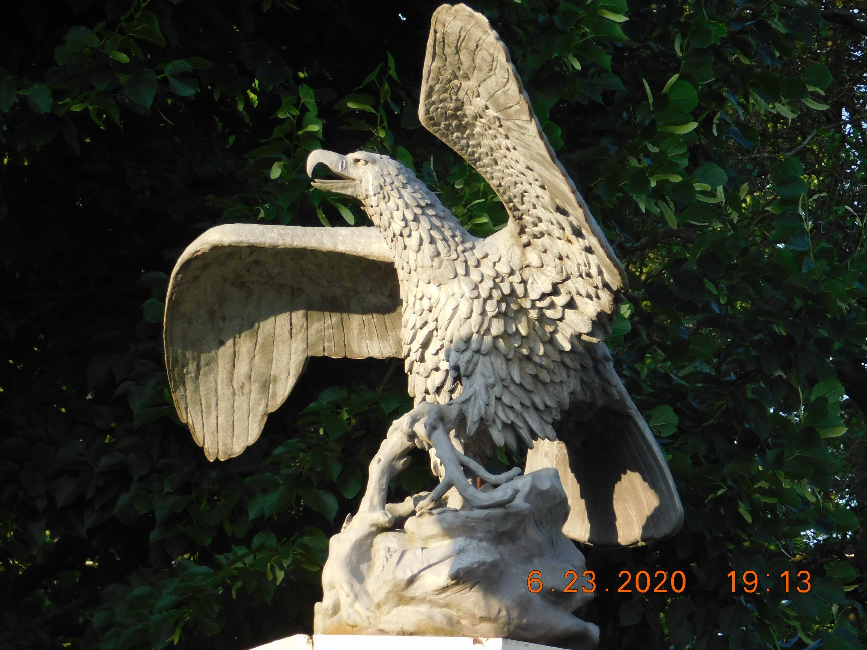 eagle