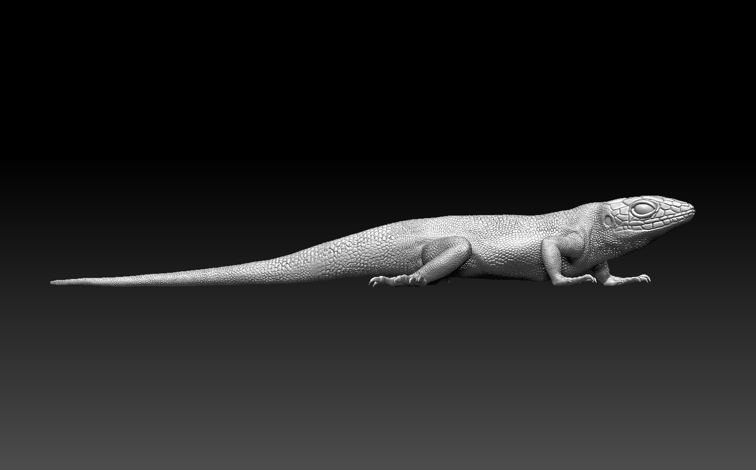 lizard — miniatura 11