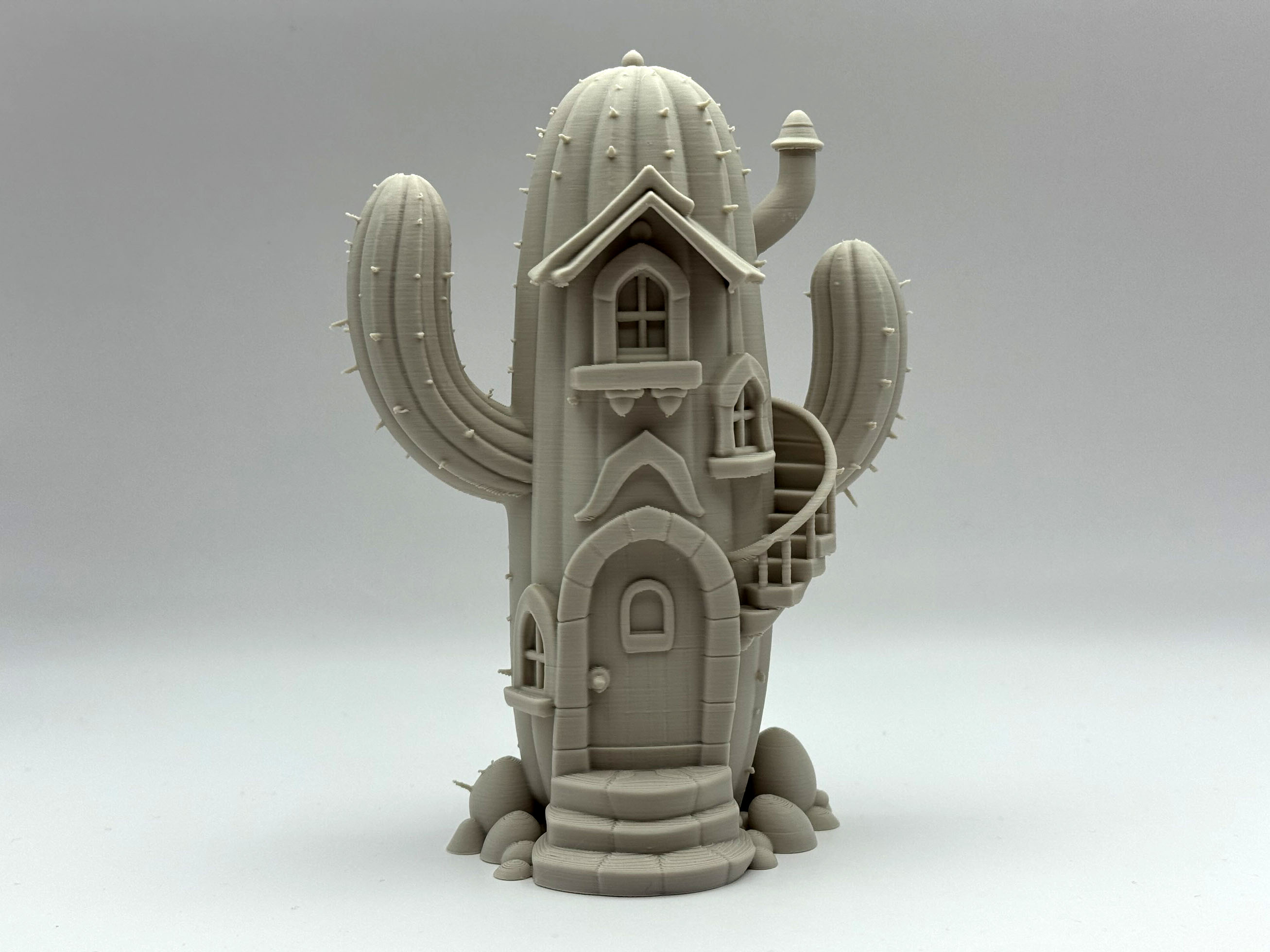 Cacti Fairy House
