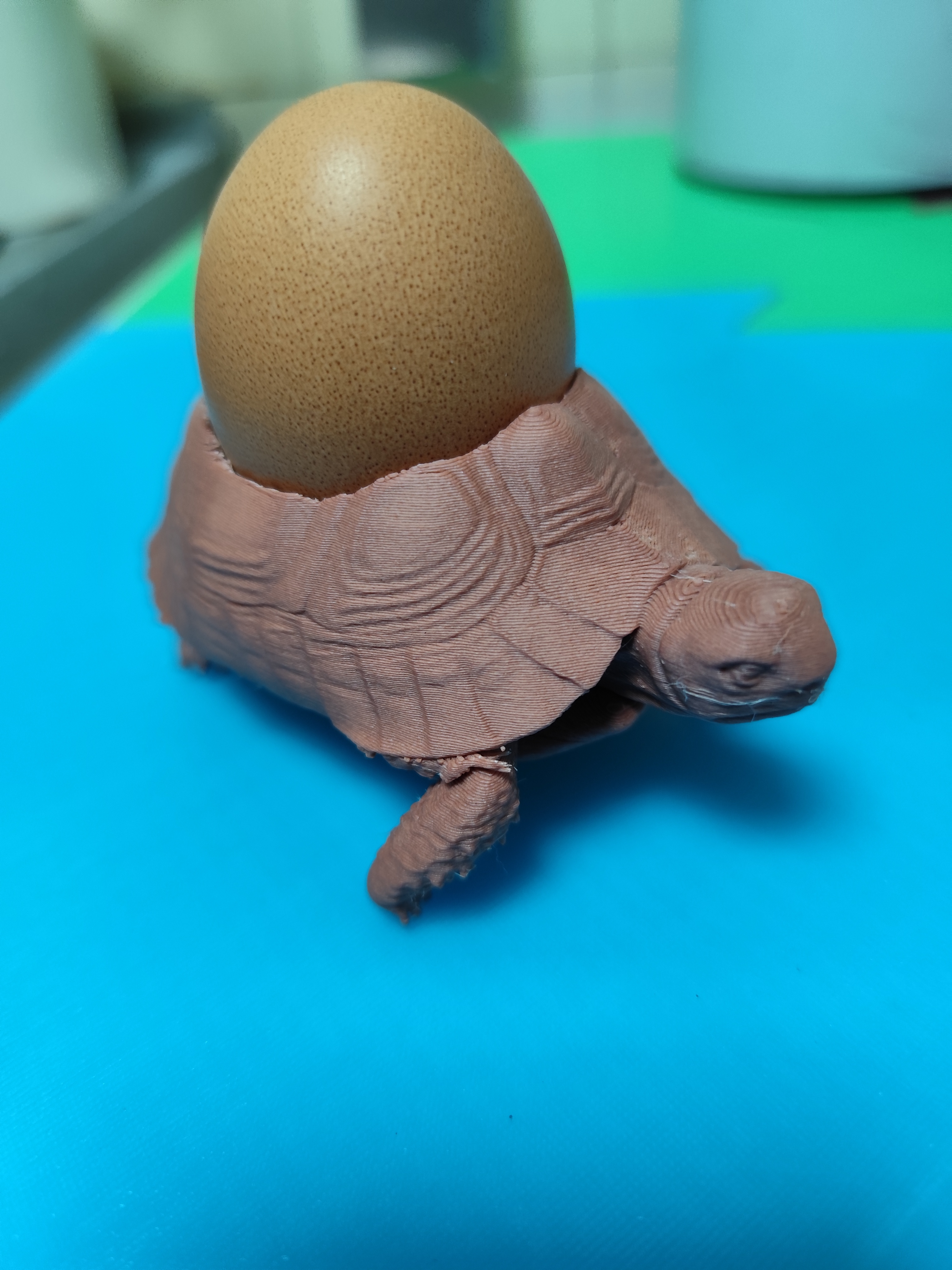 tortoise egg cup