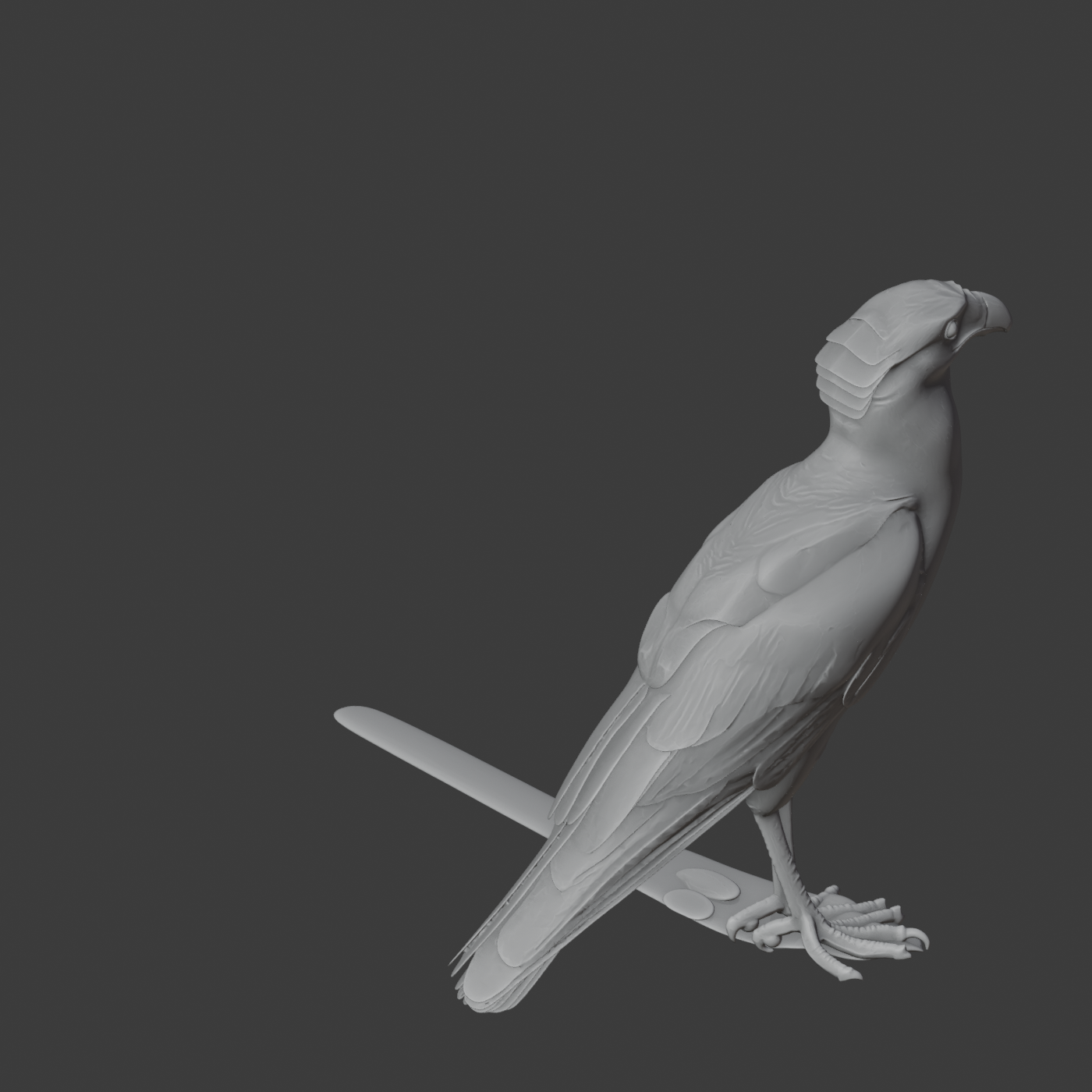 Caracara