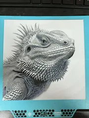 Image preview