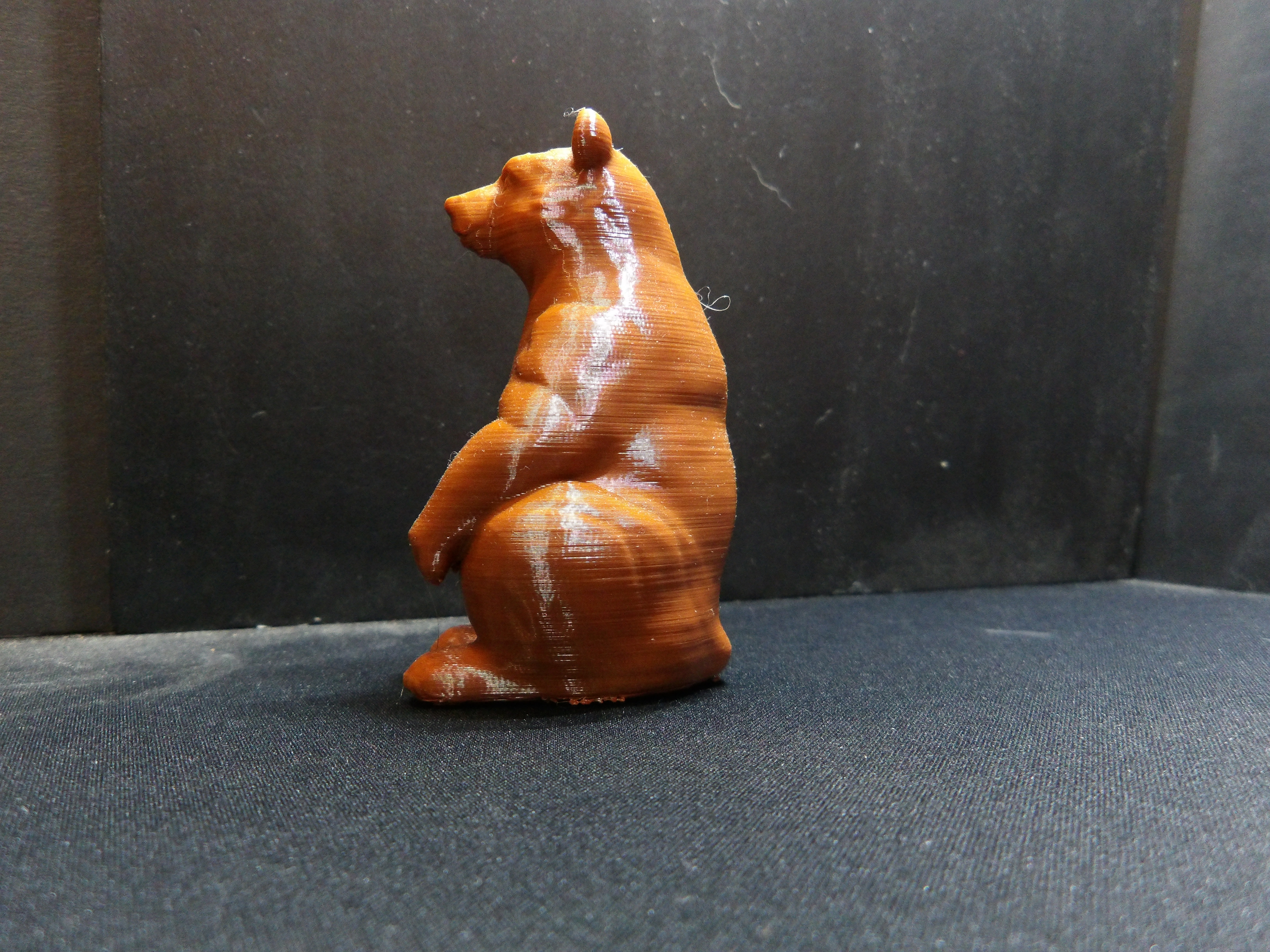 A Bear sitting up. — thumbnail 5