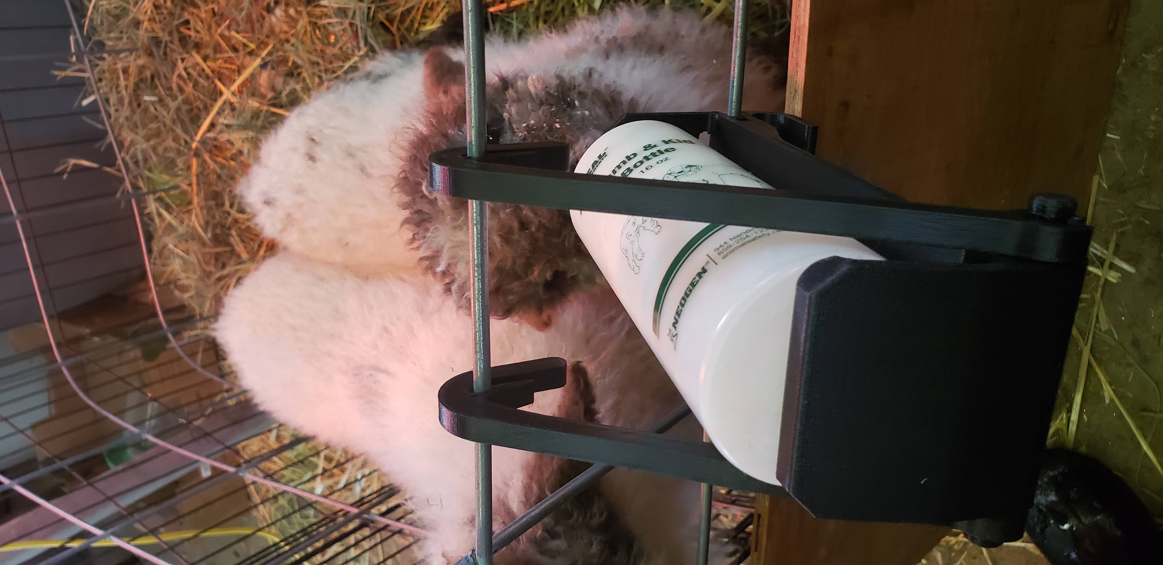 Bottle Holder for Bottle Lambs by knarc Download free STL model