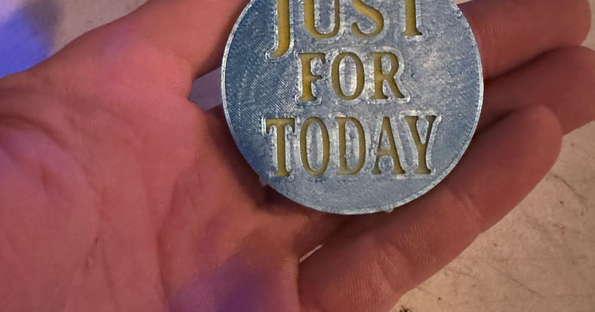 NA Just For Today Coin by Pinknick | Download free STL model