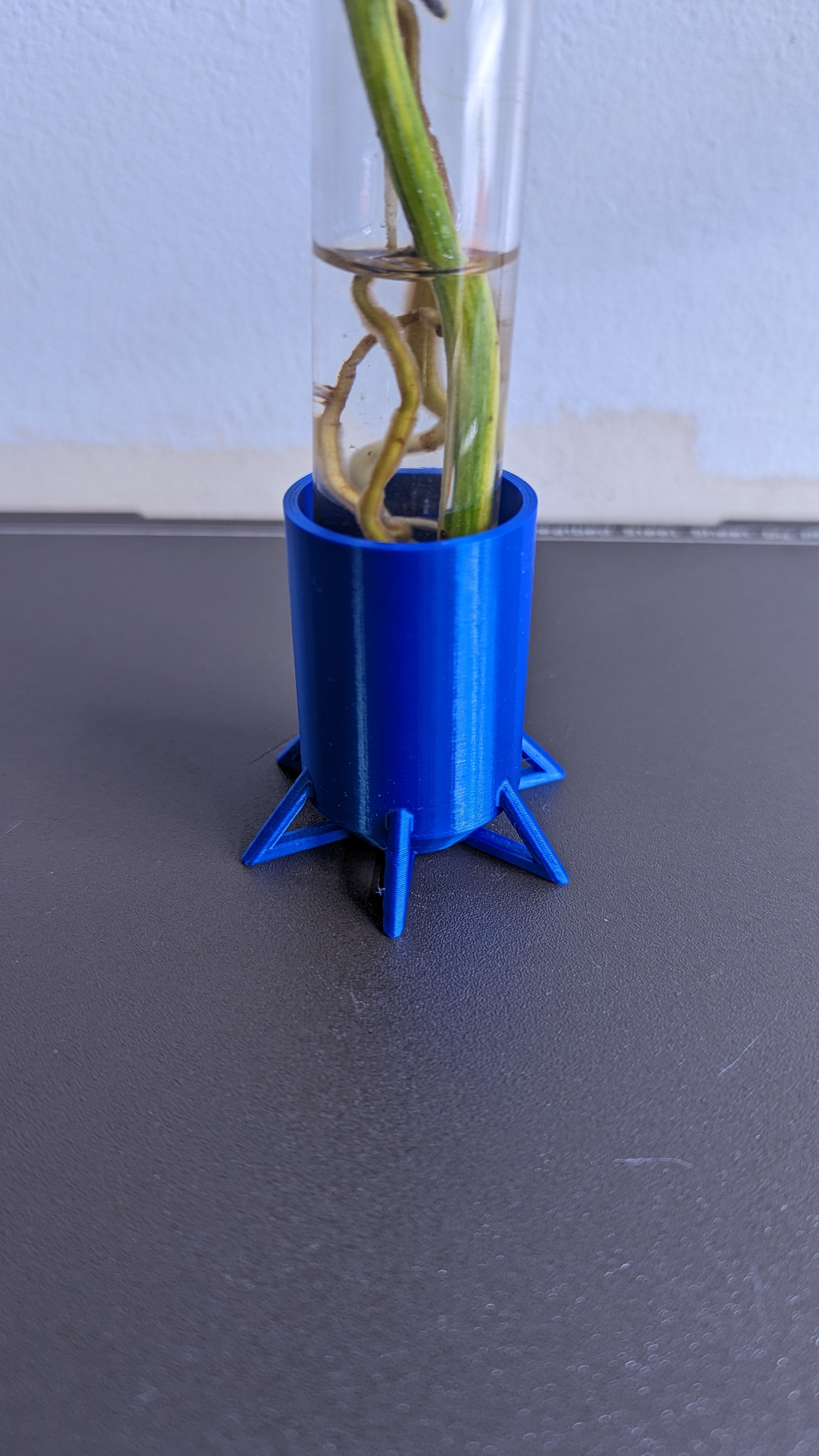 Plant Vial Stand Stilts by Ty10y Download free STL model