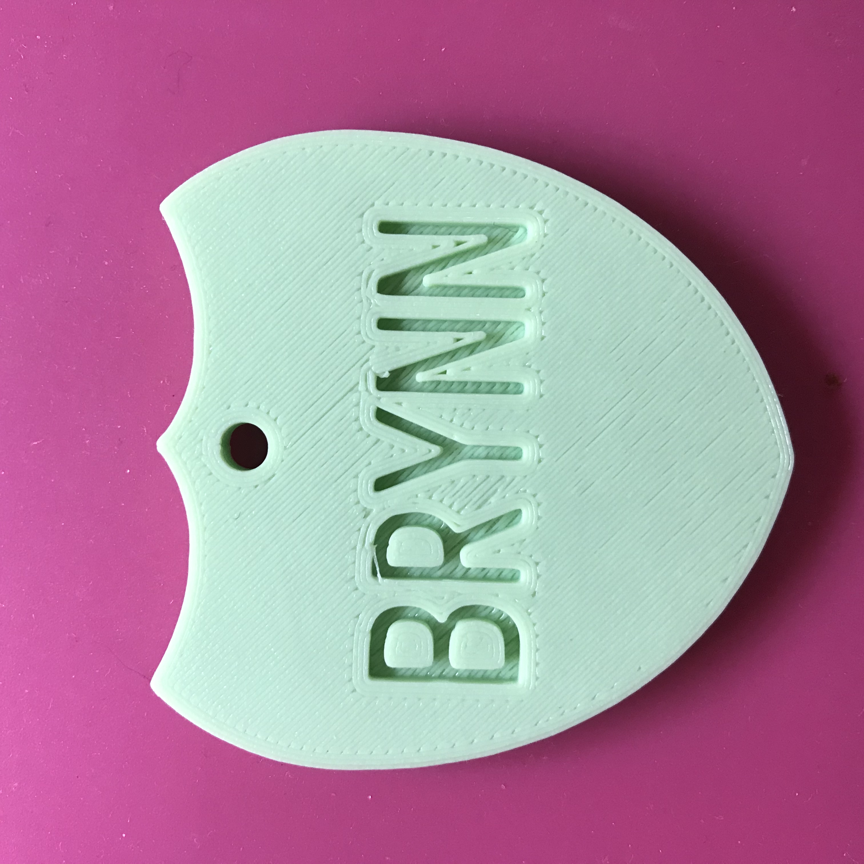Miniatura 2 do modelo 3D Dog Tag with Customizable Reverse Side